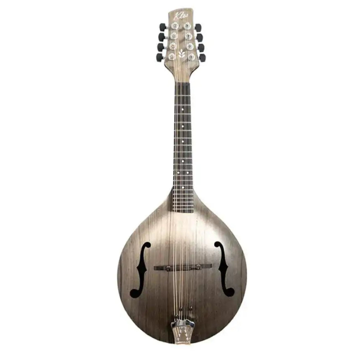 5_e1befded-48b7-4855-97c0-31ea57f0a7cb | Terry Carter Music Store