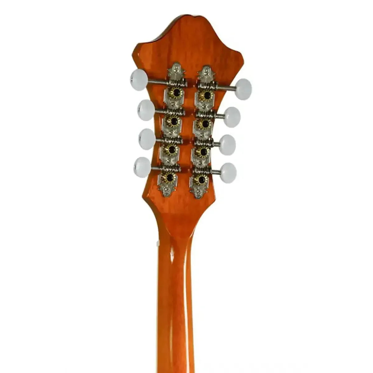 5_eaf9f2d9-79c5-48a2-989a-5f0a12f700b8 | Terry Carter Music Store