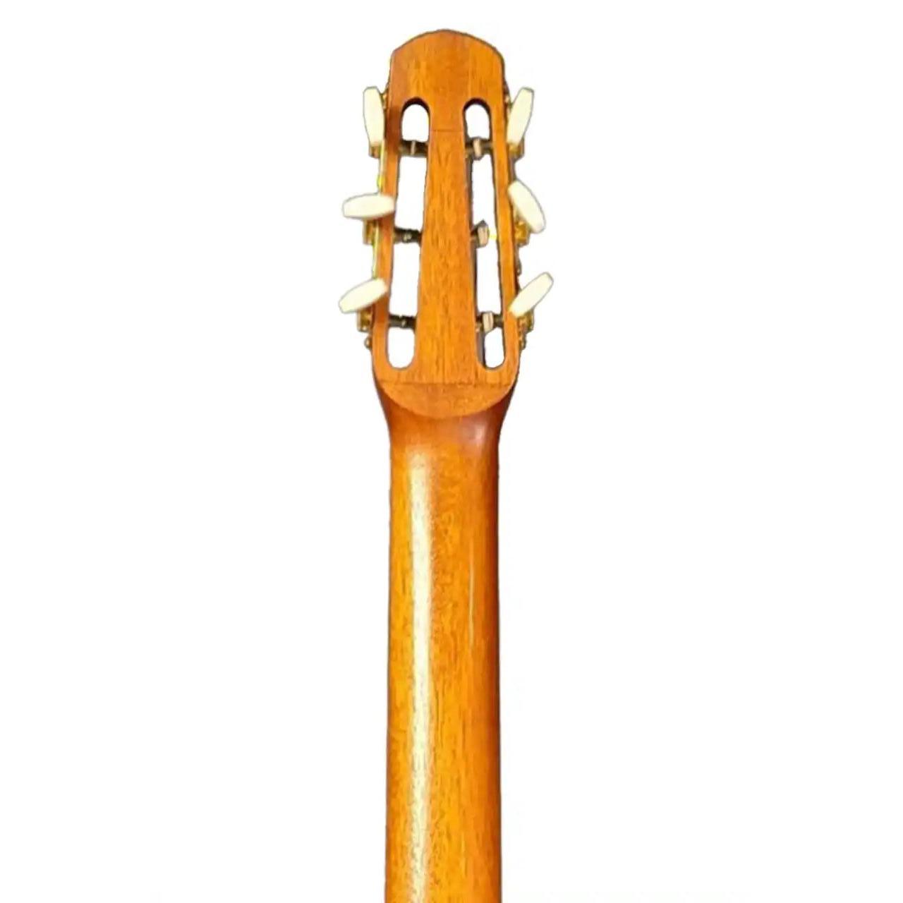 Cigano GJ-15 Grande Jazz Guitar - Terry Carter Music Store
