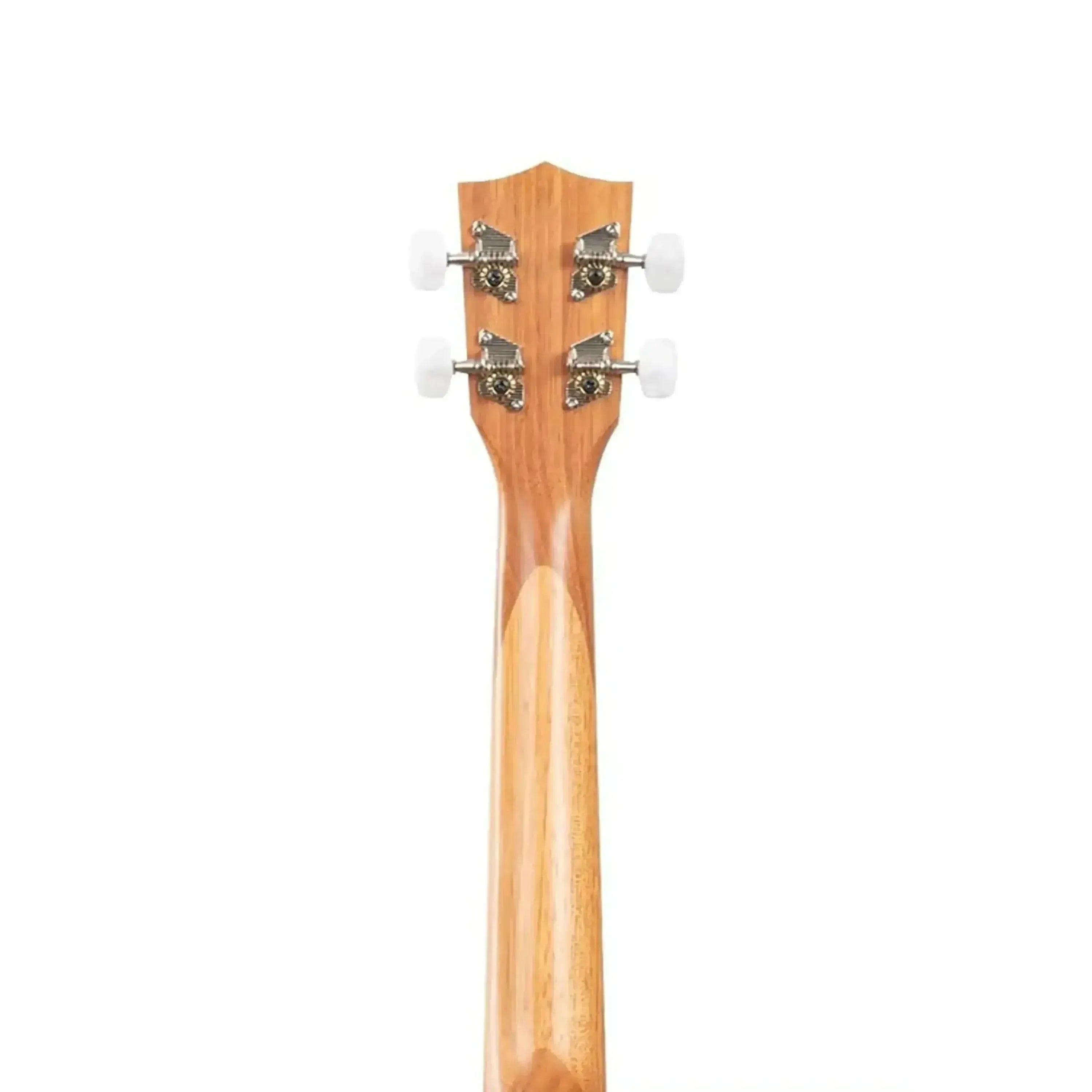 6_e1ce5088-f501-4447-a6dd-6fe067801c1e | Terry Carter Music Store