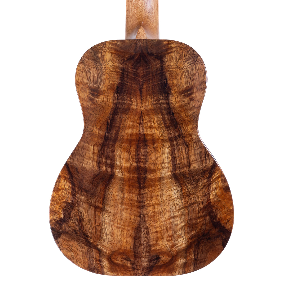 Kanile'a Islands Premium Tenor ukulele with Paua abalone island chain inlay, serial 30195: close-up of the koa back
