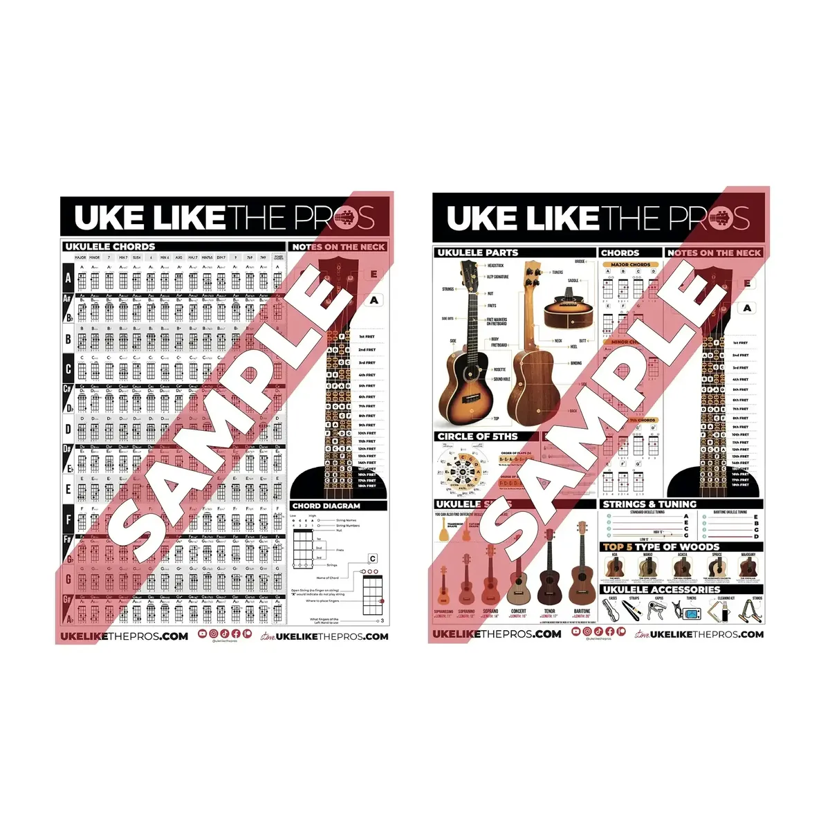 ALLULTPUkulelePosters_2postersfor_25-both | Terry Carter Music Store