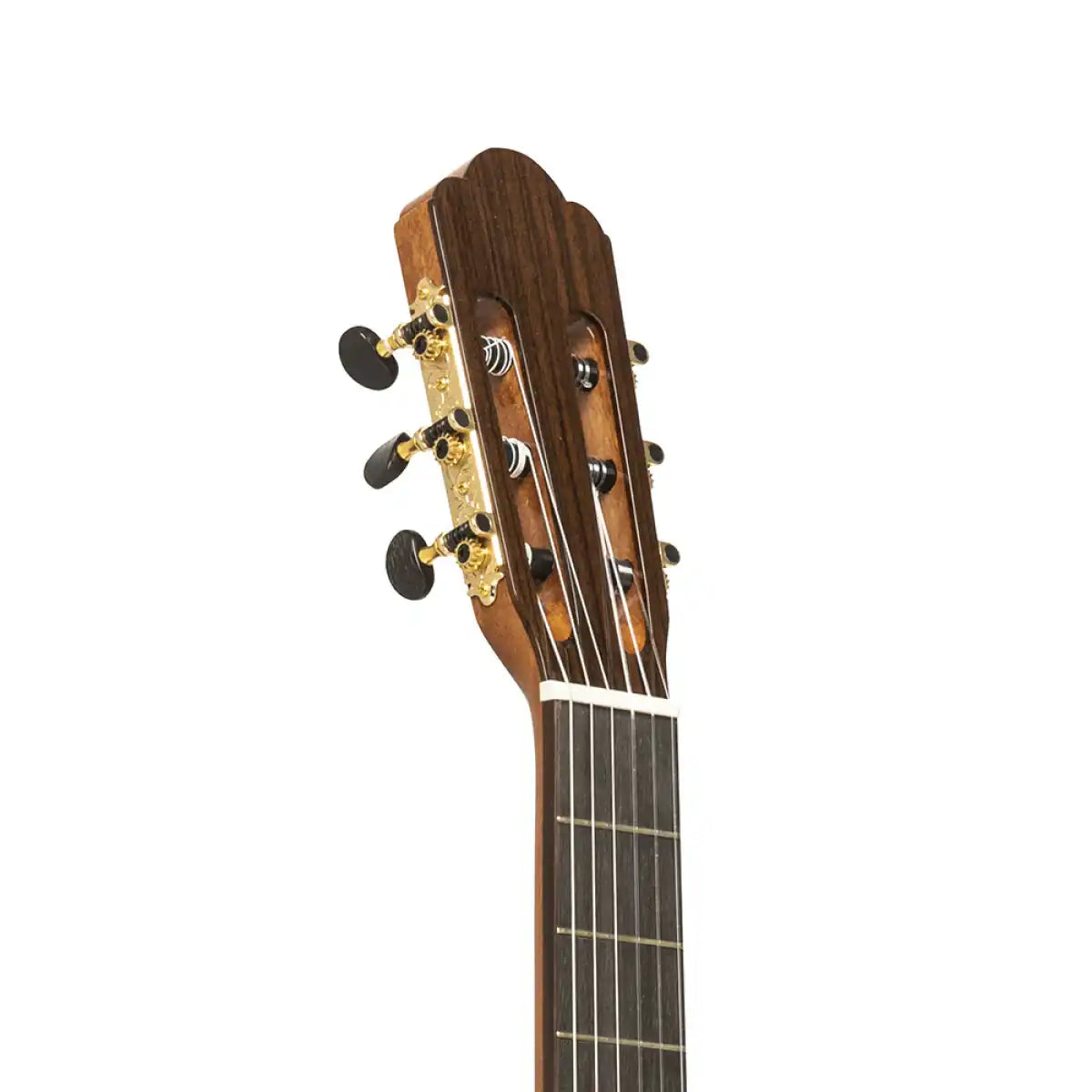Mazuelo-CR classical guitar headstock with gold tuners, angled view