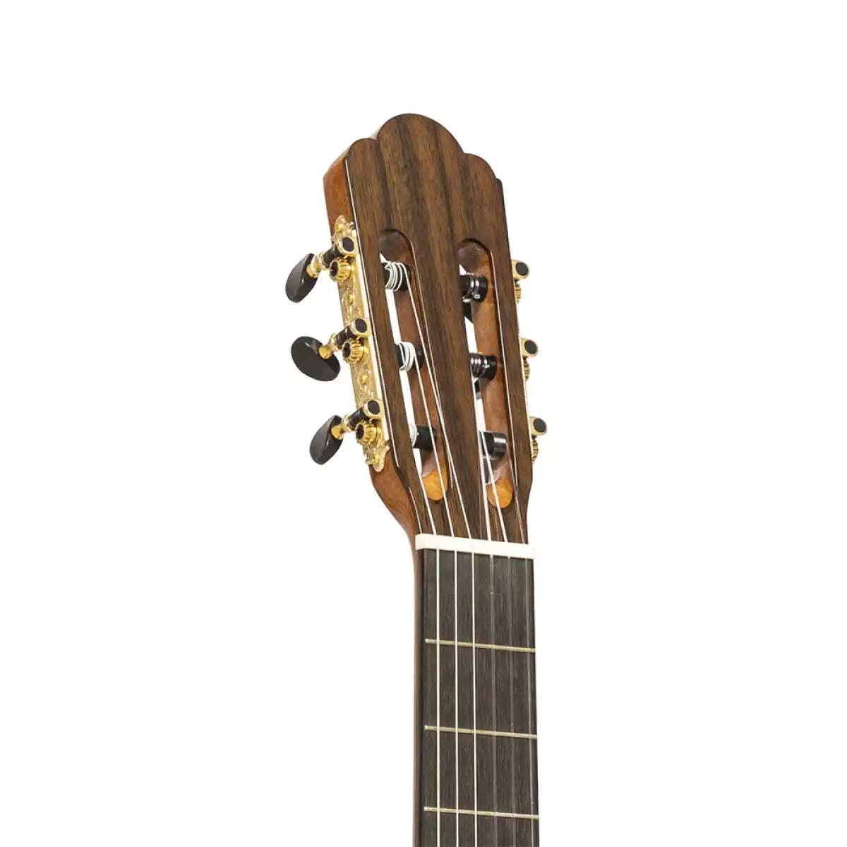 Tinto-SK classical guitar headstock with gold tuners, angled view