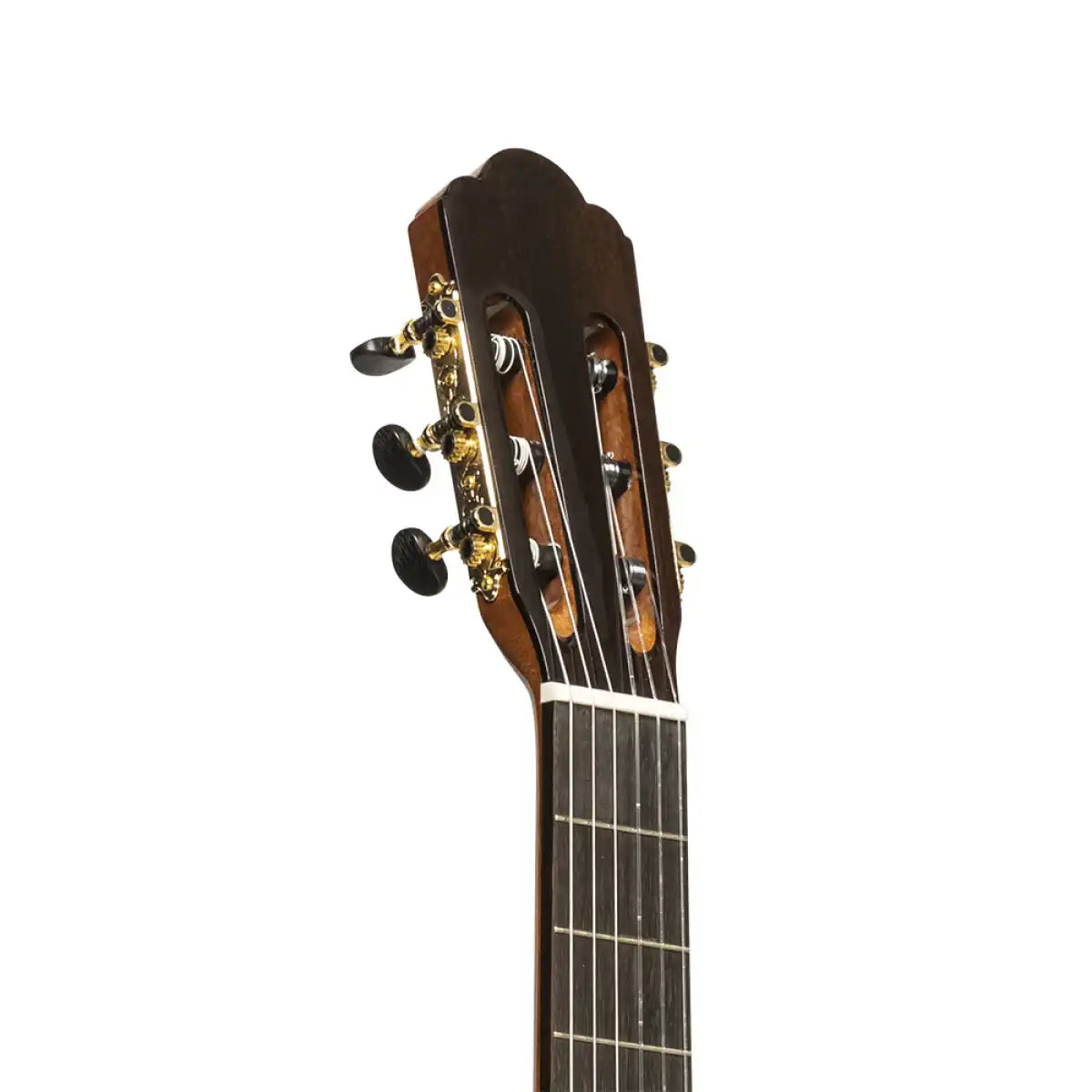Tinto-SL classical guitar headstock with gold tuners, angled view