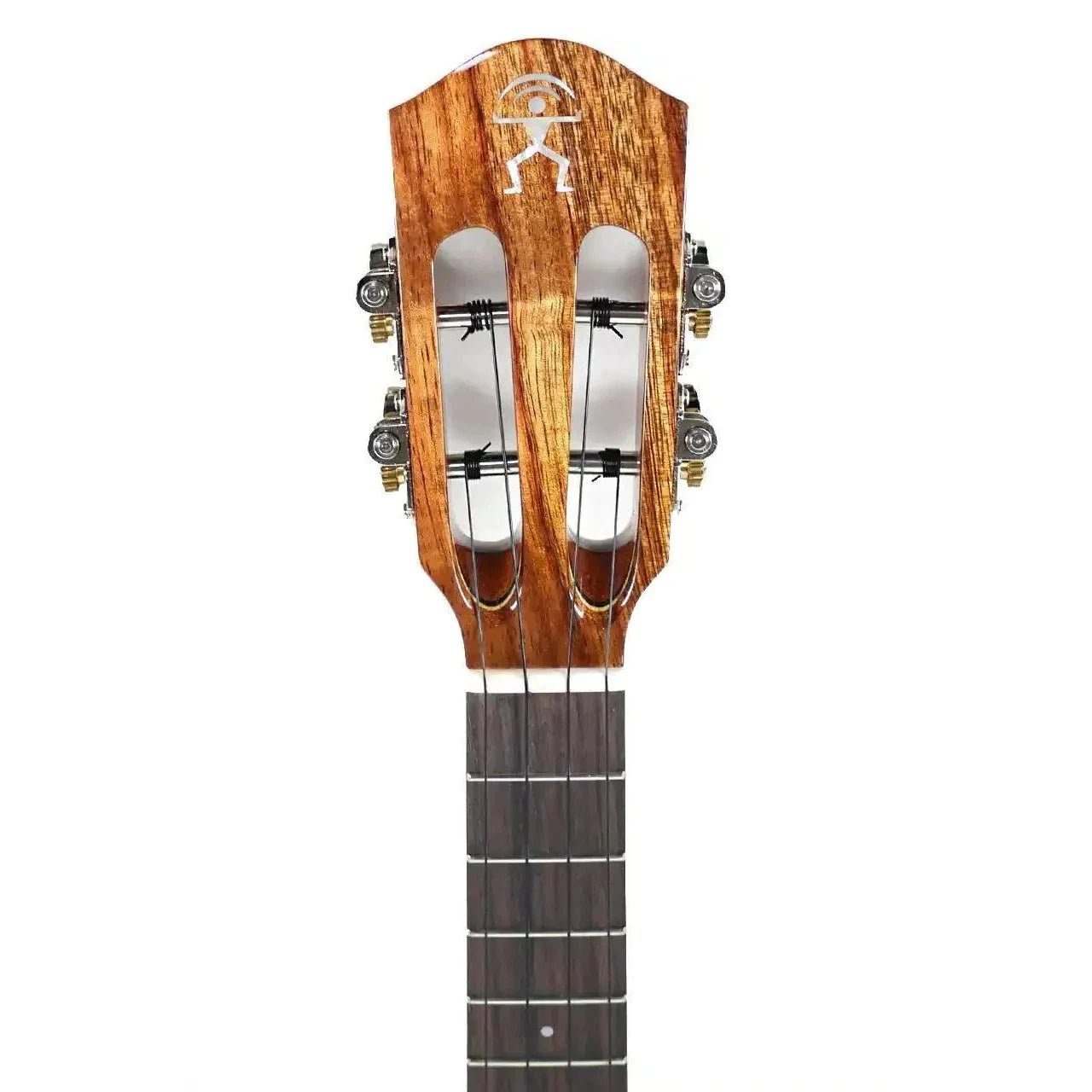 AN_AKK3E_2 | Terry Carter Music Store