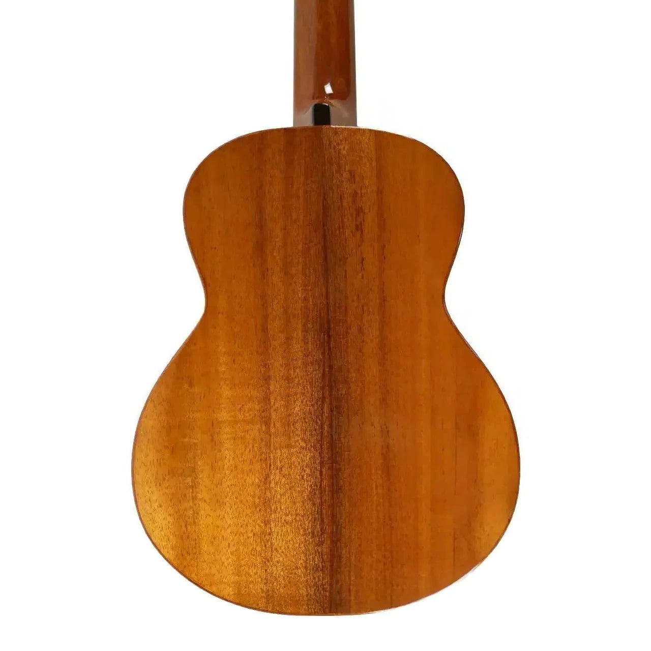 AN_AKK3E_3 | Terry Carter Music Store
