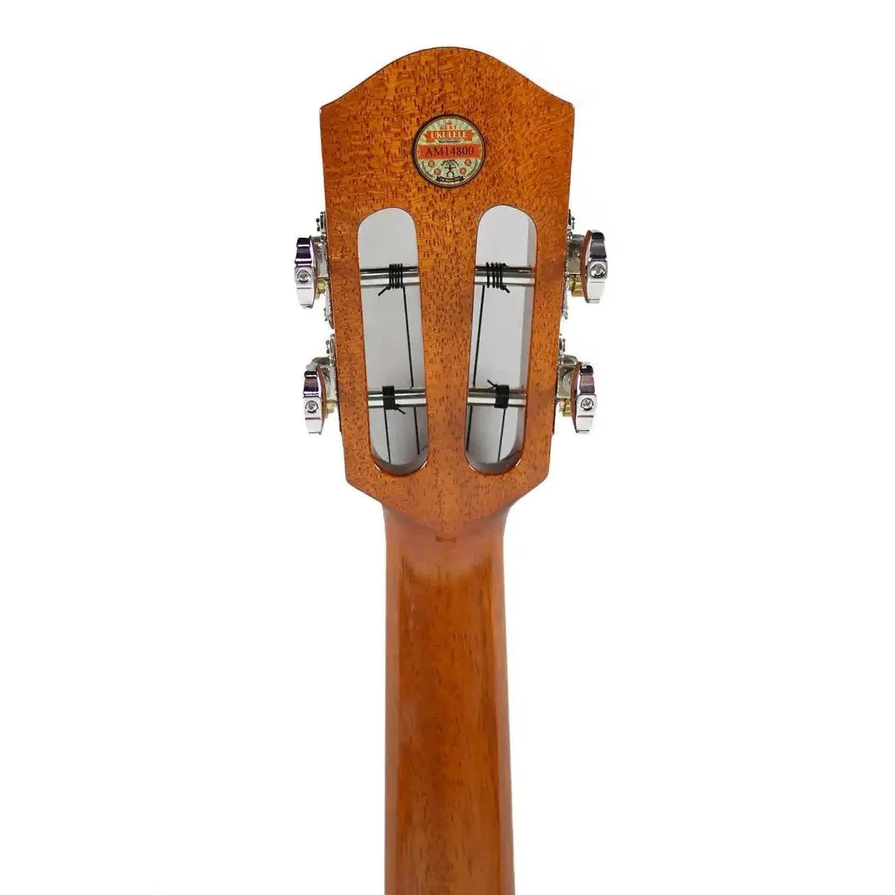 AN_AKK3E_4 | Terry Carter Music Store