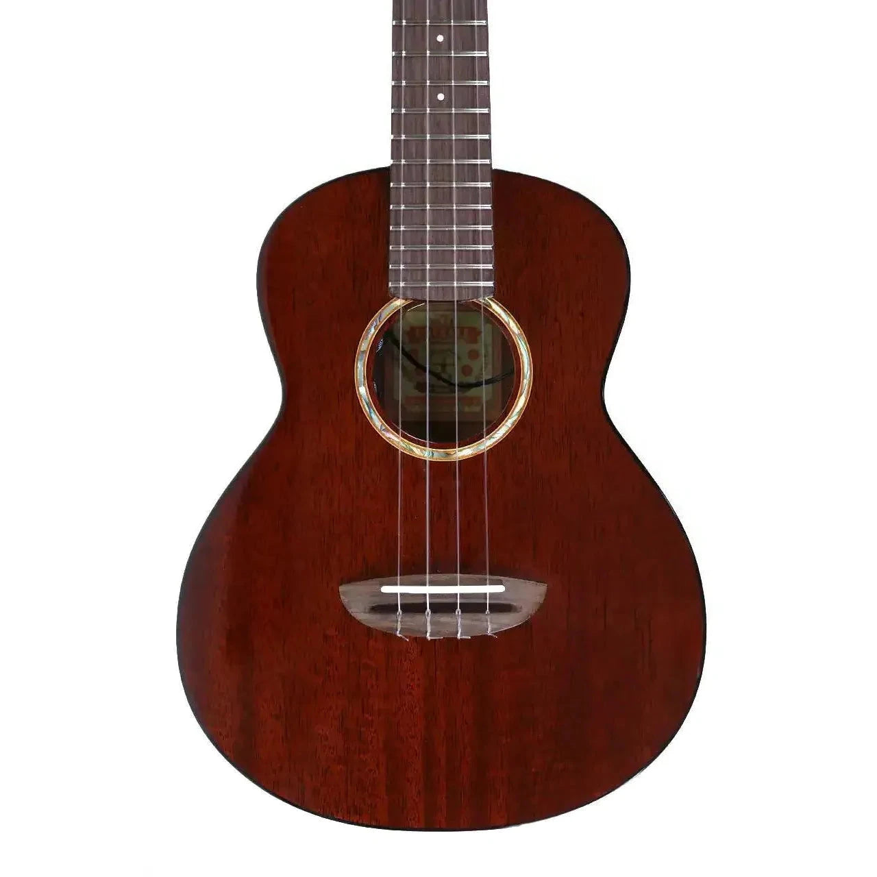 AN_AMM3E_1 | Terry Carter Music Store