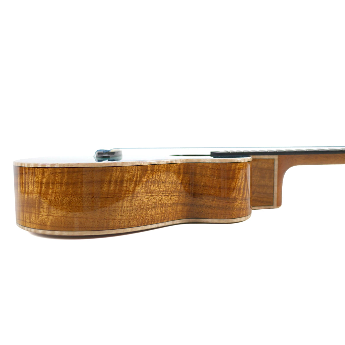 ANueNue UT188 MB Feather Bird Moana Blue Tenor Ukulele + 12-Month Lessons