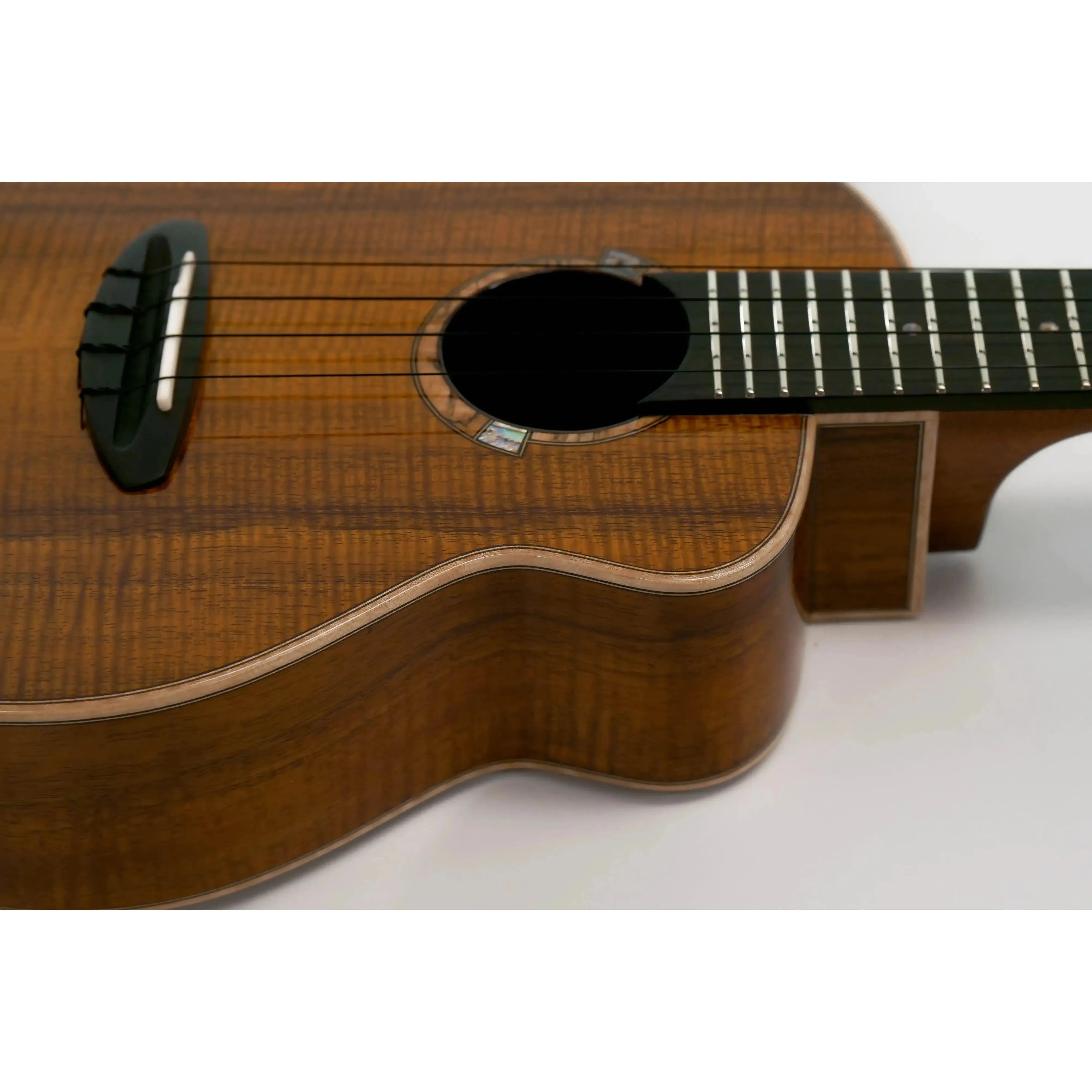 ANueNue-UC5K-Koa-Bird-Concert-Ukulele-SIDE | Terry Carter Music Store