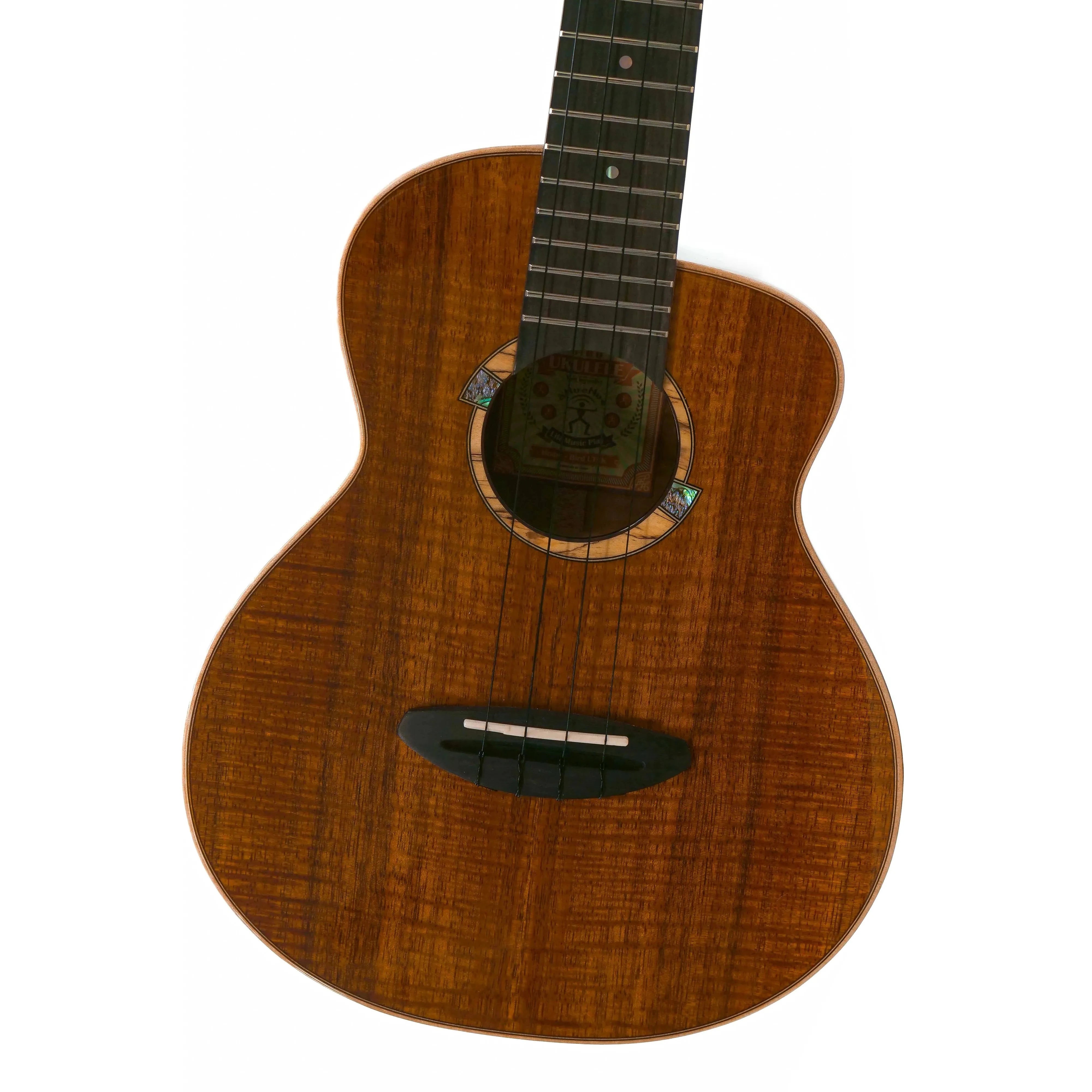 ANueNue-UT5K-Koa-Bird-Tenor-Ukulele-FRONT | Terry Carter Music Store