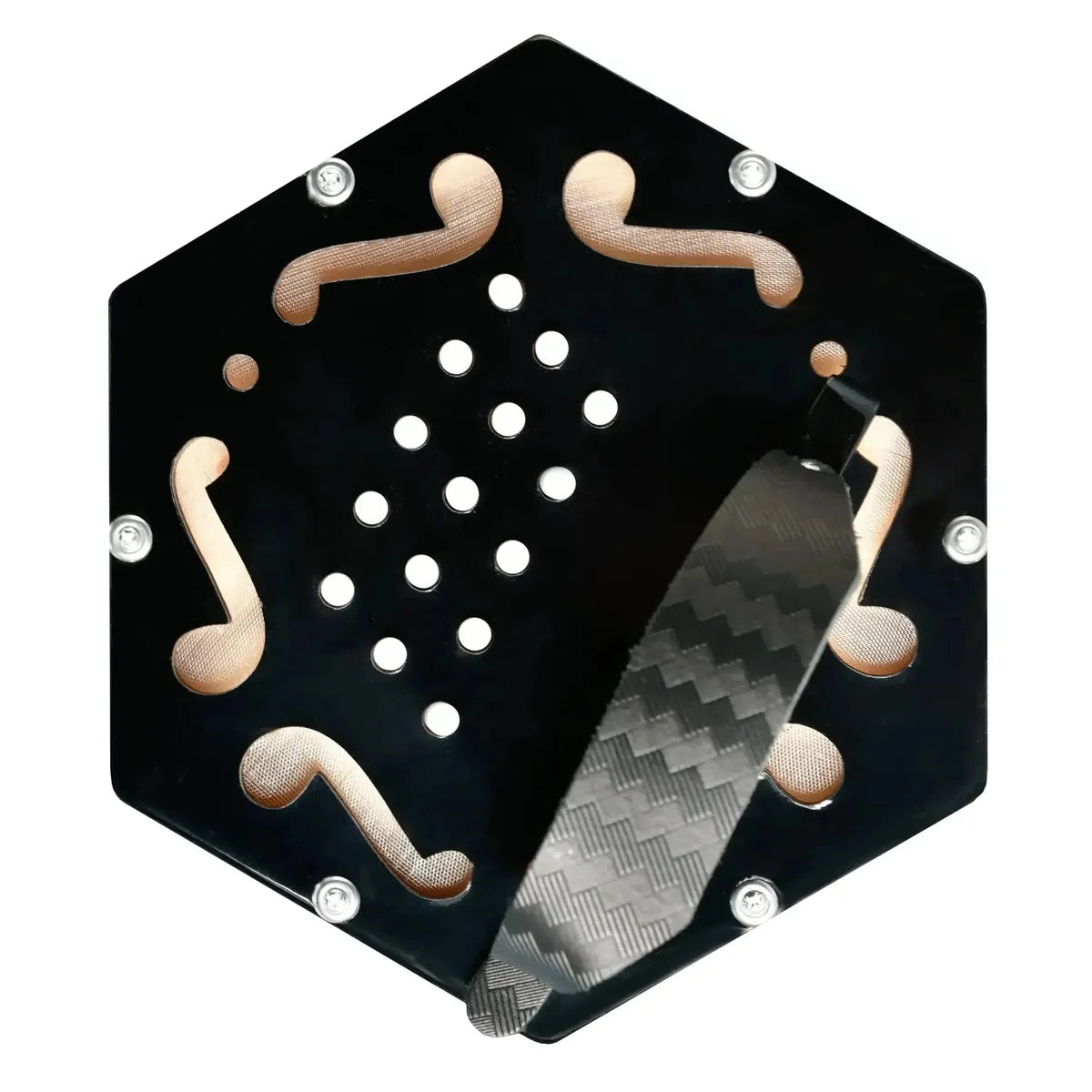 AP-1130A_d-scaled | Terry Carter Music Store