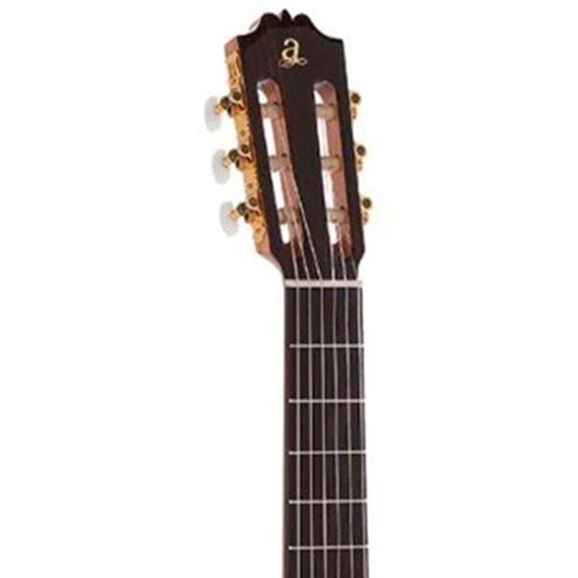 Close-up of a classical guitar's headstock and tuning pegs on a white background