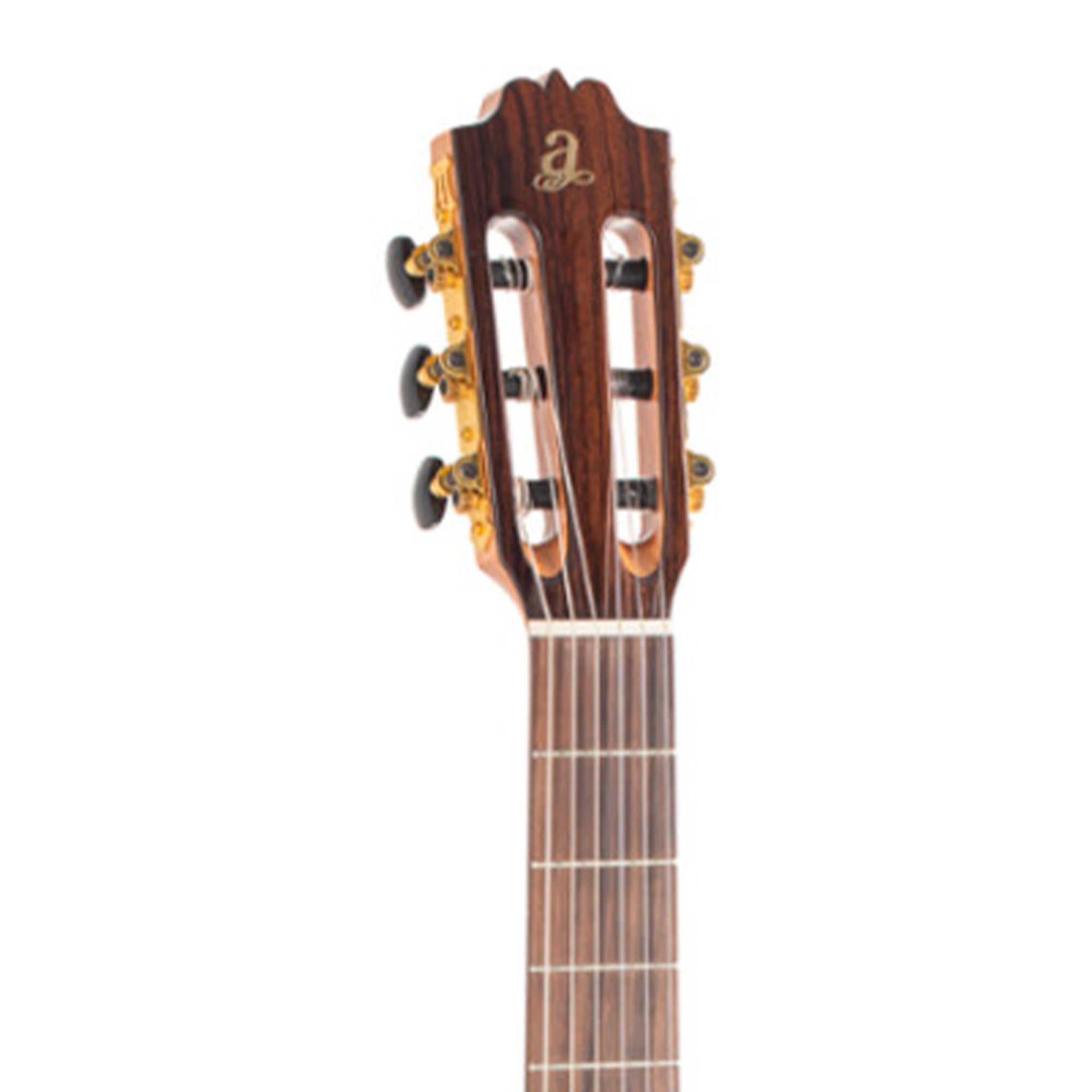 Close-up of a classical guitar's headstock and fretboard on a white background