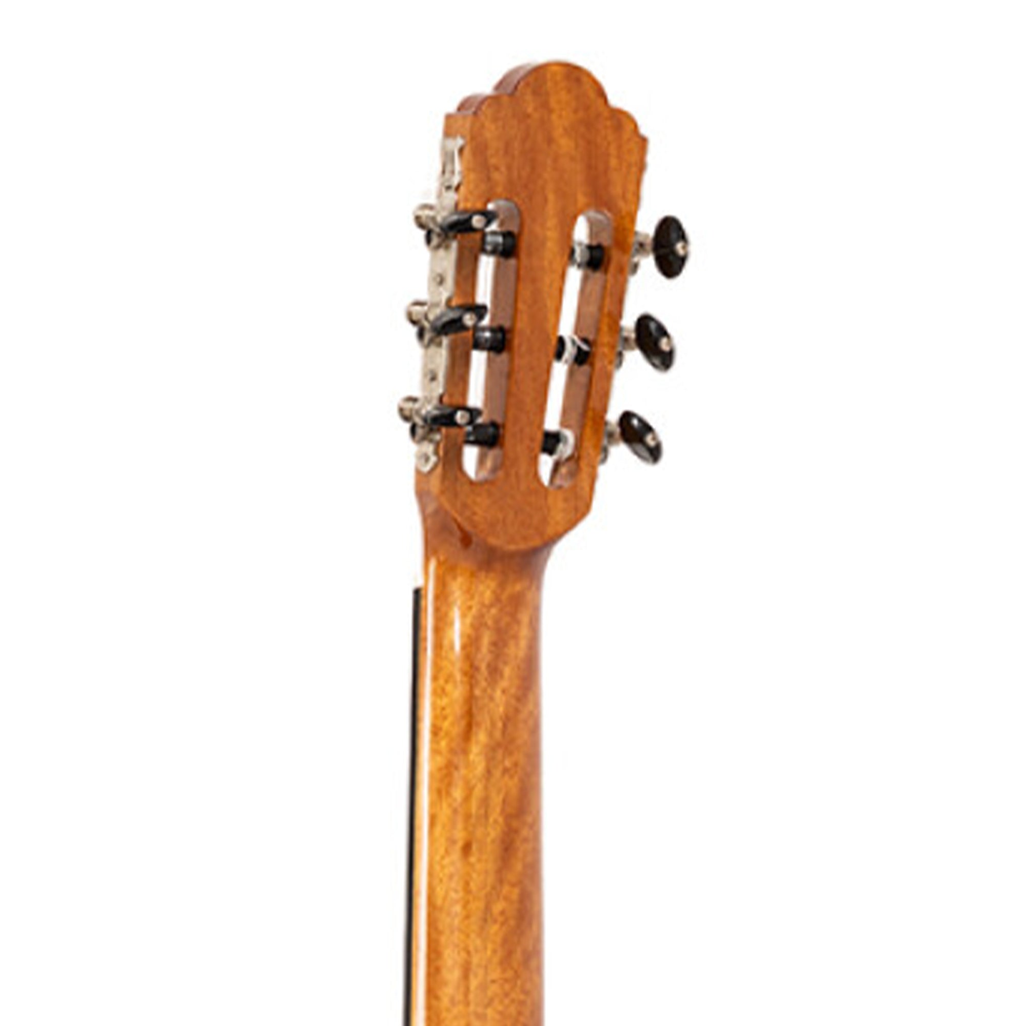Close-up of a guitar headstock with tuning pegs on a white background