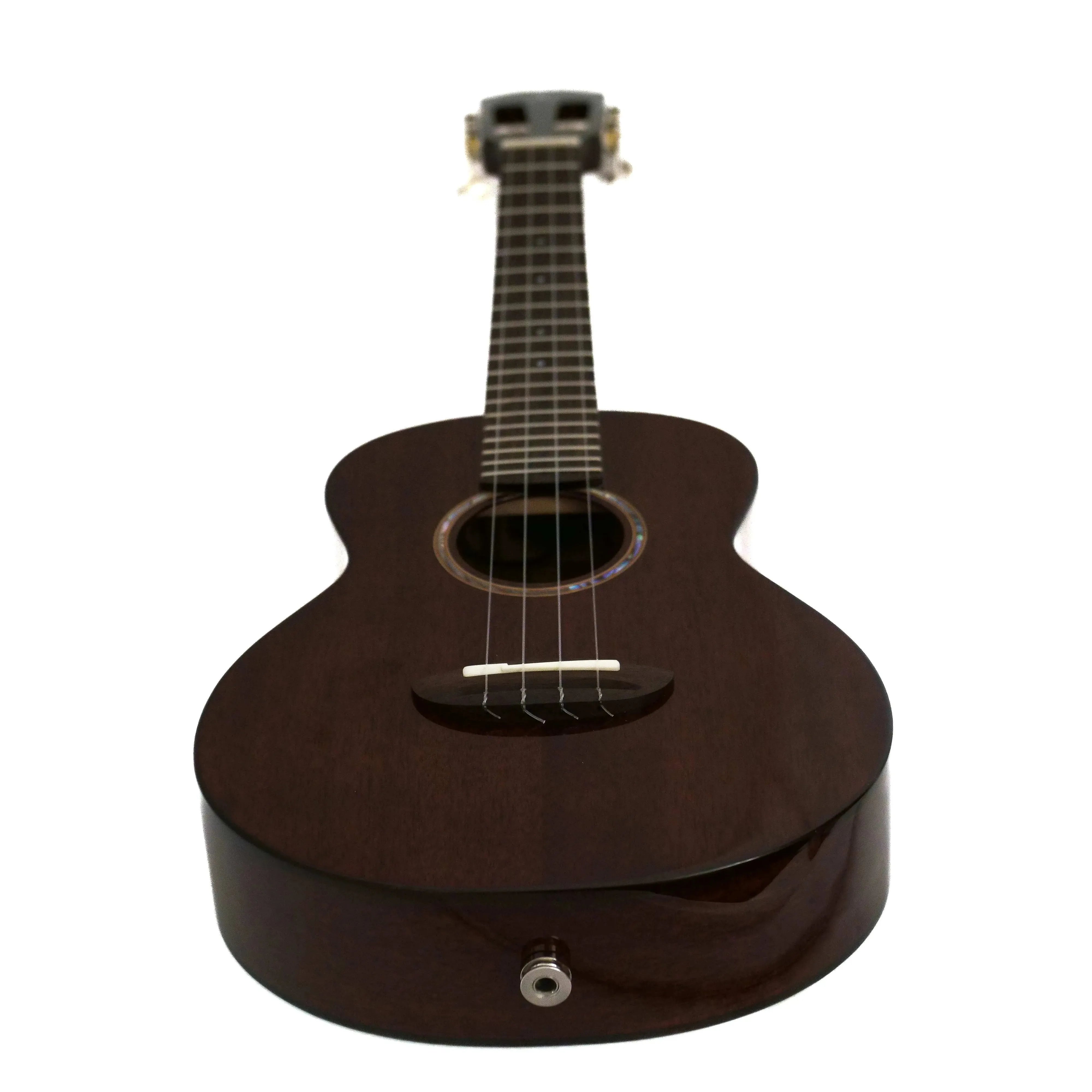 AnuenueAMM3LION_SDENALL | Terry Carter Music Store