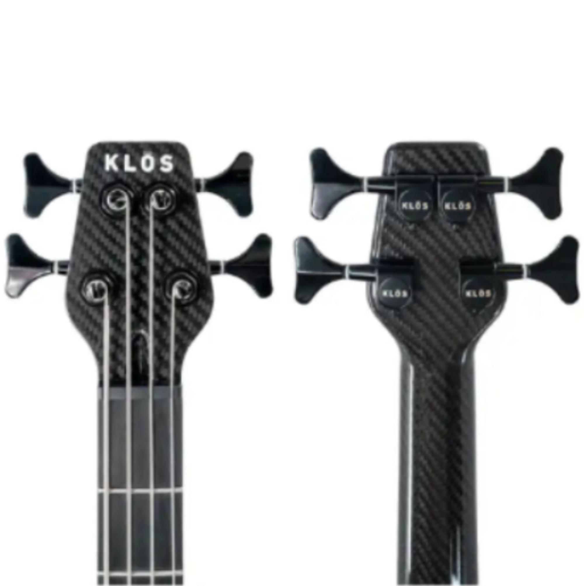 Apollo_Bass_HeadStocks_WEB | Terry Carter Music Store