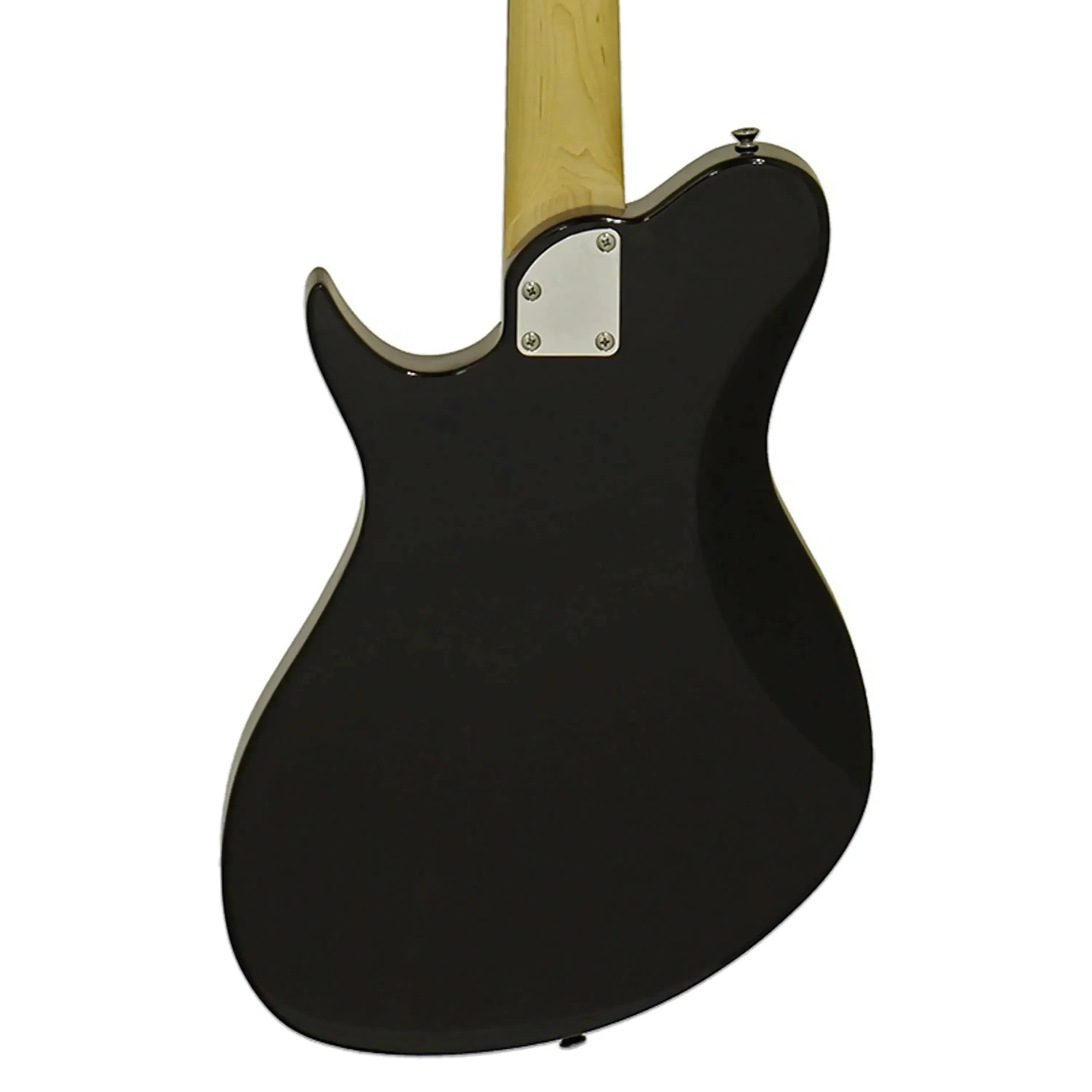 Aria-J-B-Electric-Bassbk2 | Terry Carter Music Store