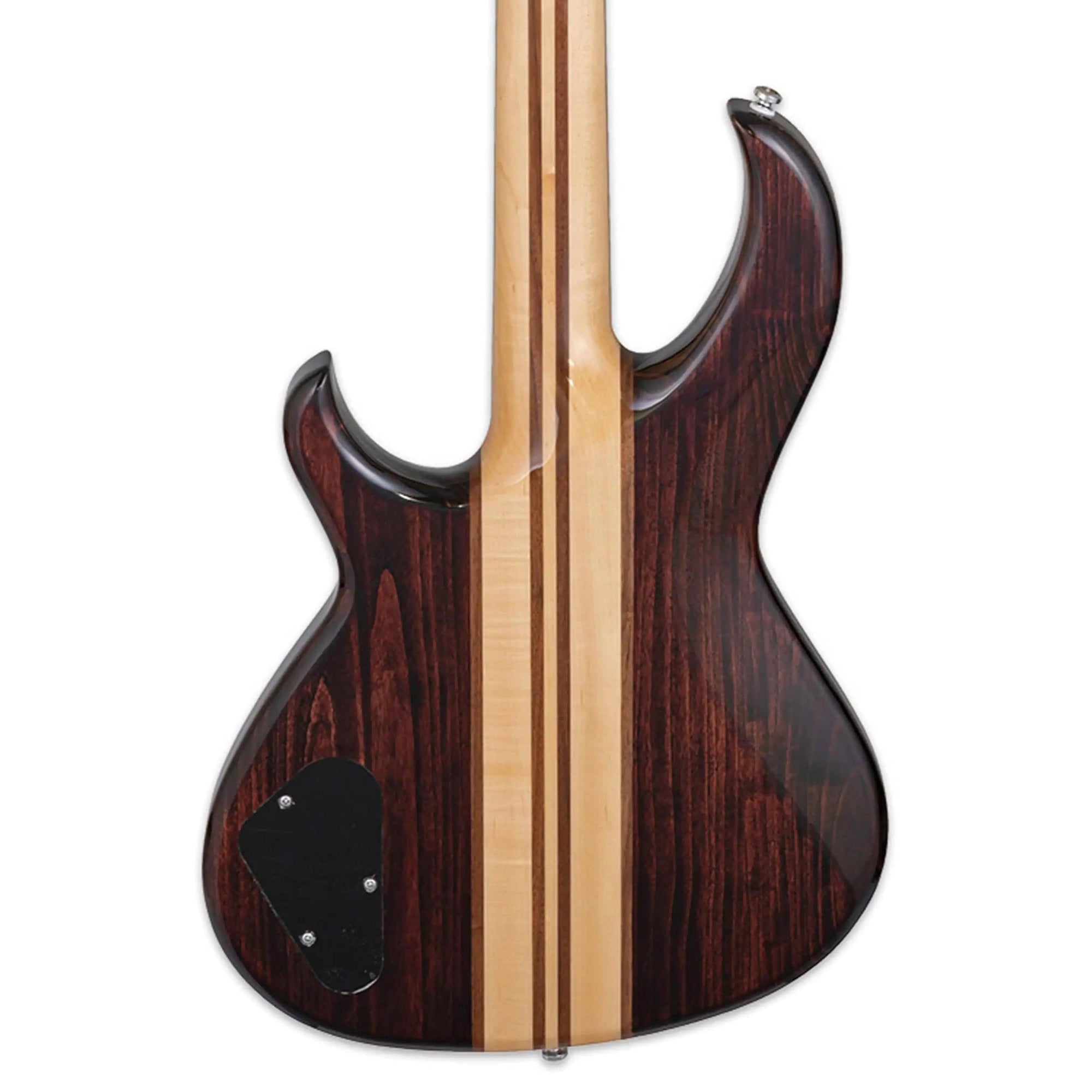 Aria-SB-700-Electric-Basswa1_8cf4e837-46ad-46e7-b33f-e00cd7ec043e | Terry Carter Music Store