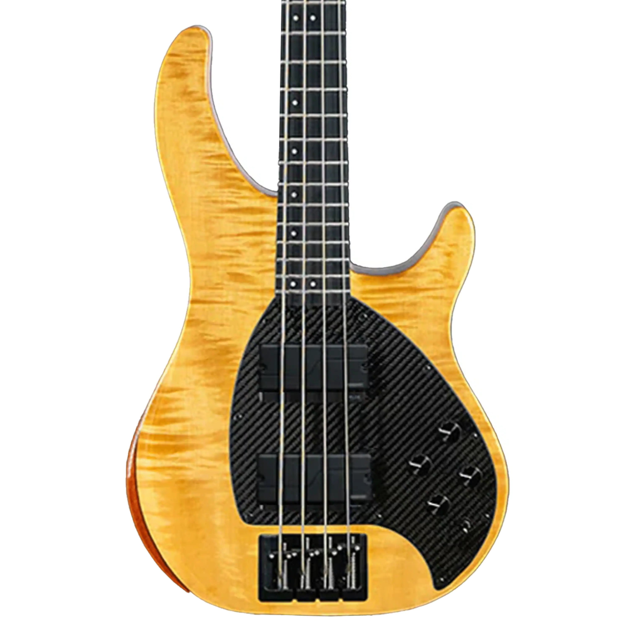 BASS_4CS_QIN_SAND_UP_FISHMAN4KNOB2 | Terry Carter Music Store