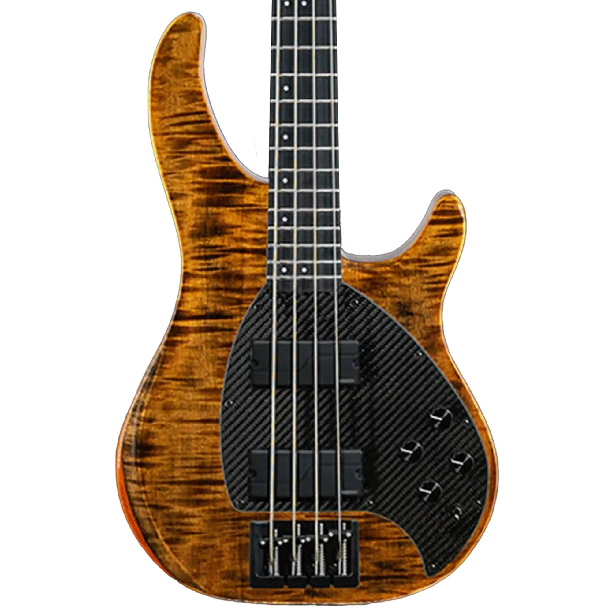 BASS_4CS_QIN_TIG_UP_FISHMAN4KNOB2 | Terry Carter Music Store