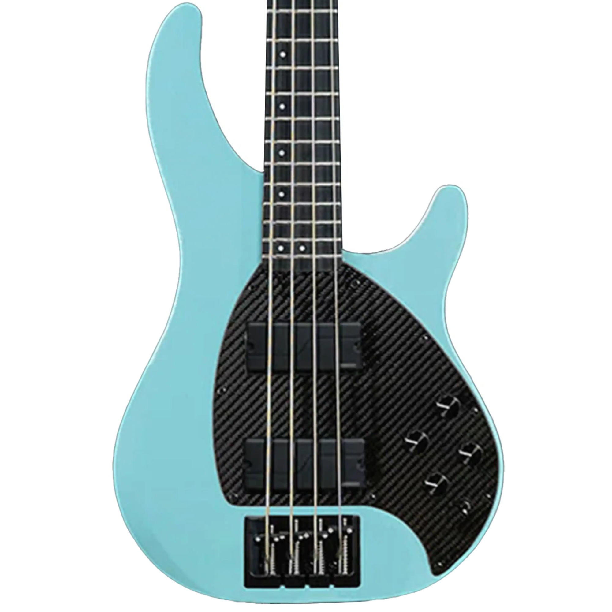 BASS_4CS_STONEBL_UP_FISHMAN4KNOB2 | Terry Carter Music Store