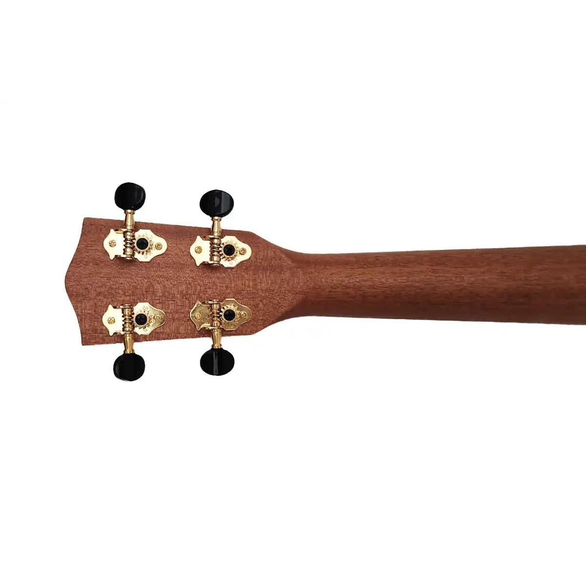 BE-MDBK-6 | Terry Carter Music Store