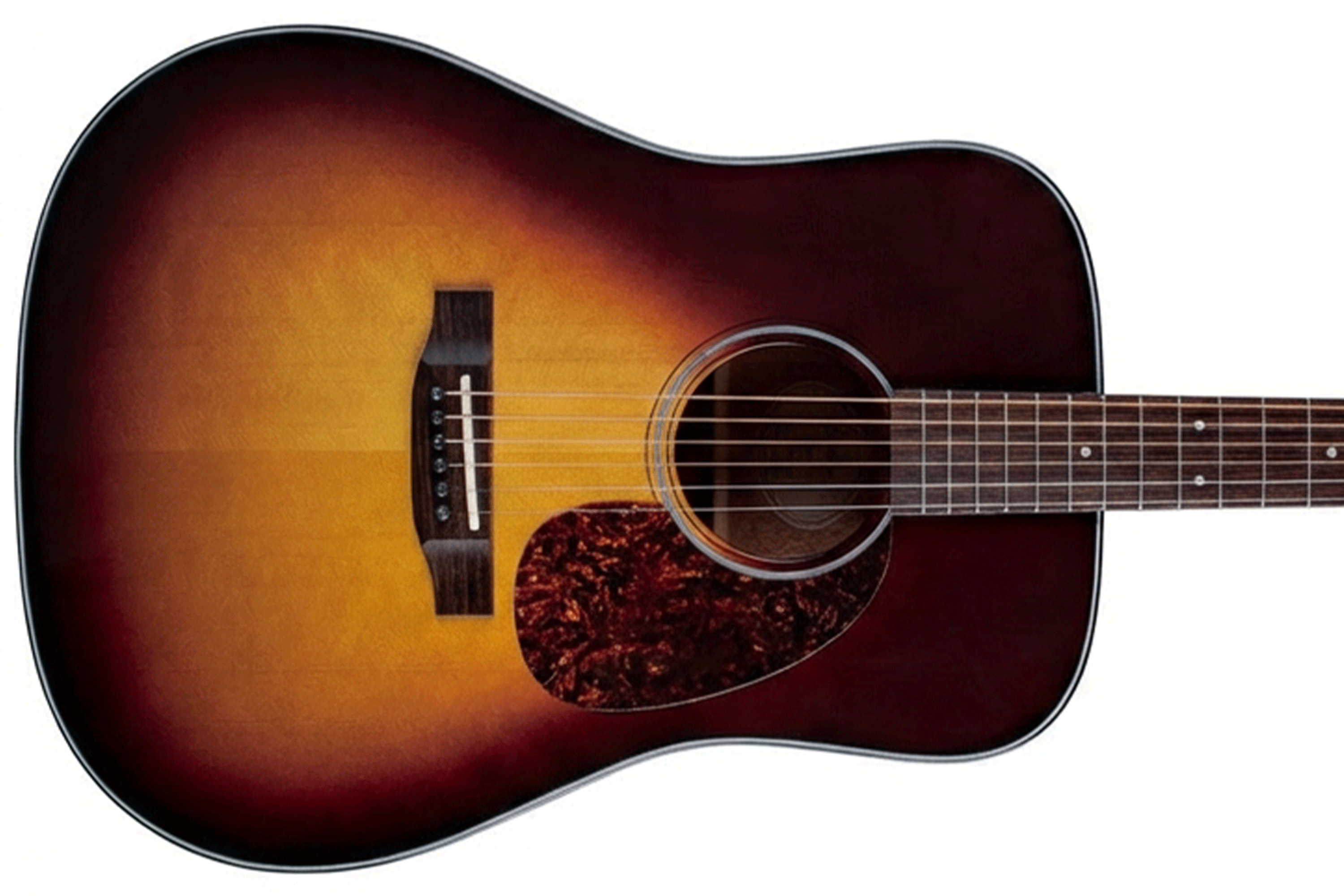 Bristol by Blueridge BL-140SB Deluxe Dreadnought Guitar - Terry