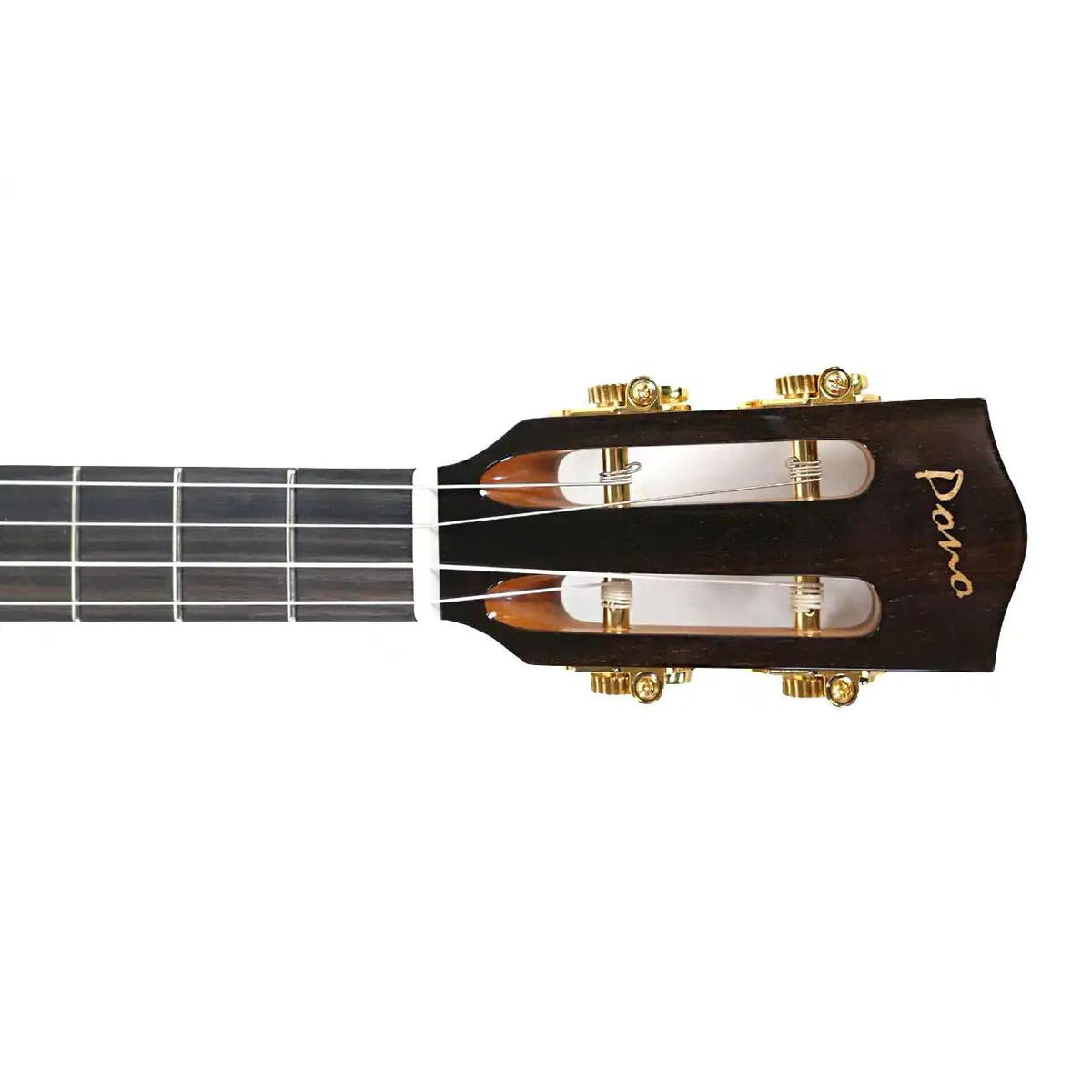 BN4_4_2_c8ef74d7-7a02-4186-8cc3-faa7f46f2b1c | Terry Carter Music Store