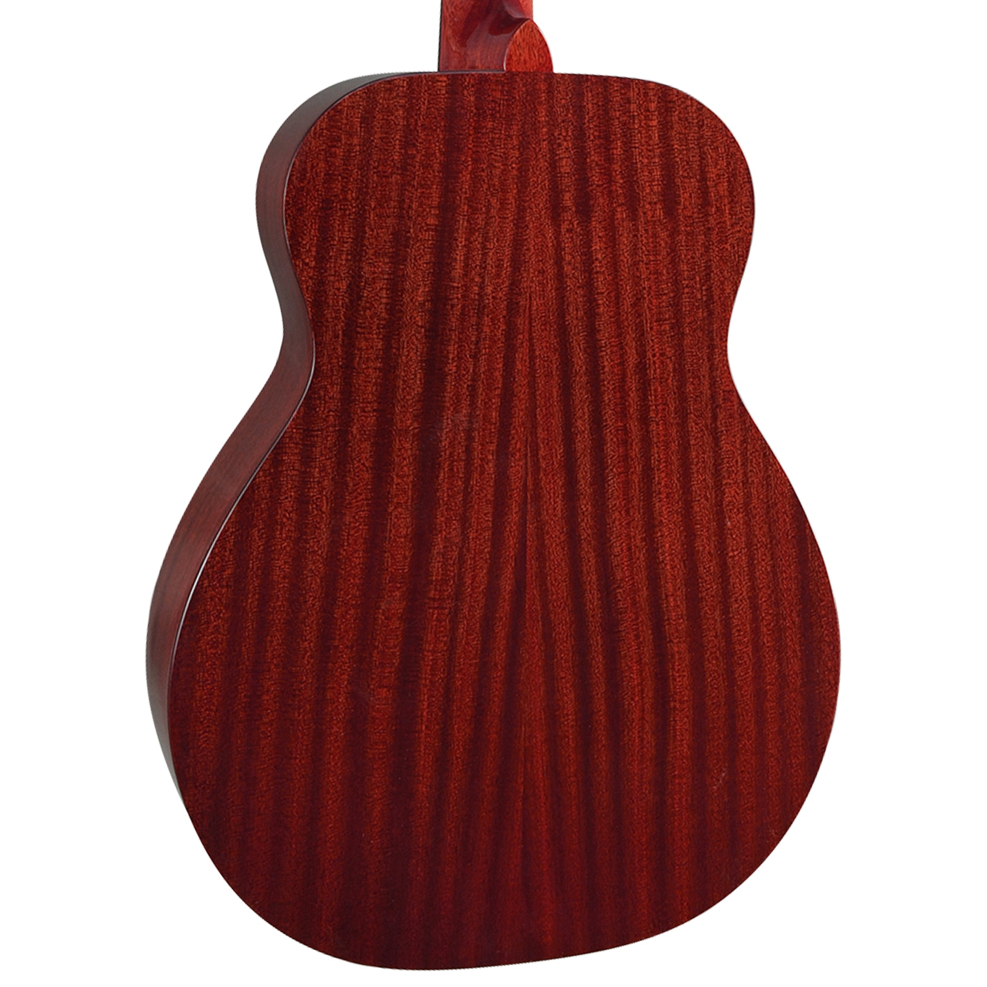 Baby Blueridge Guitar