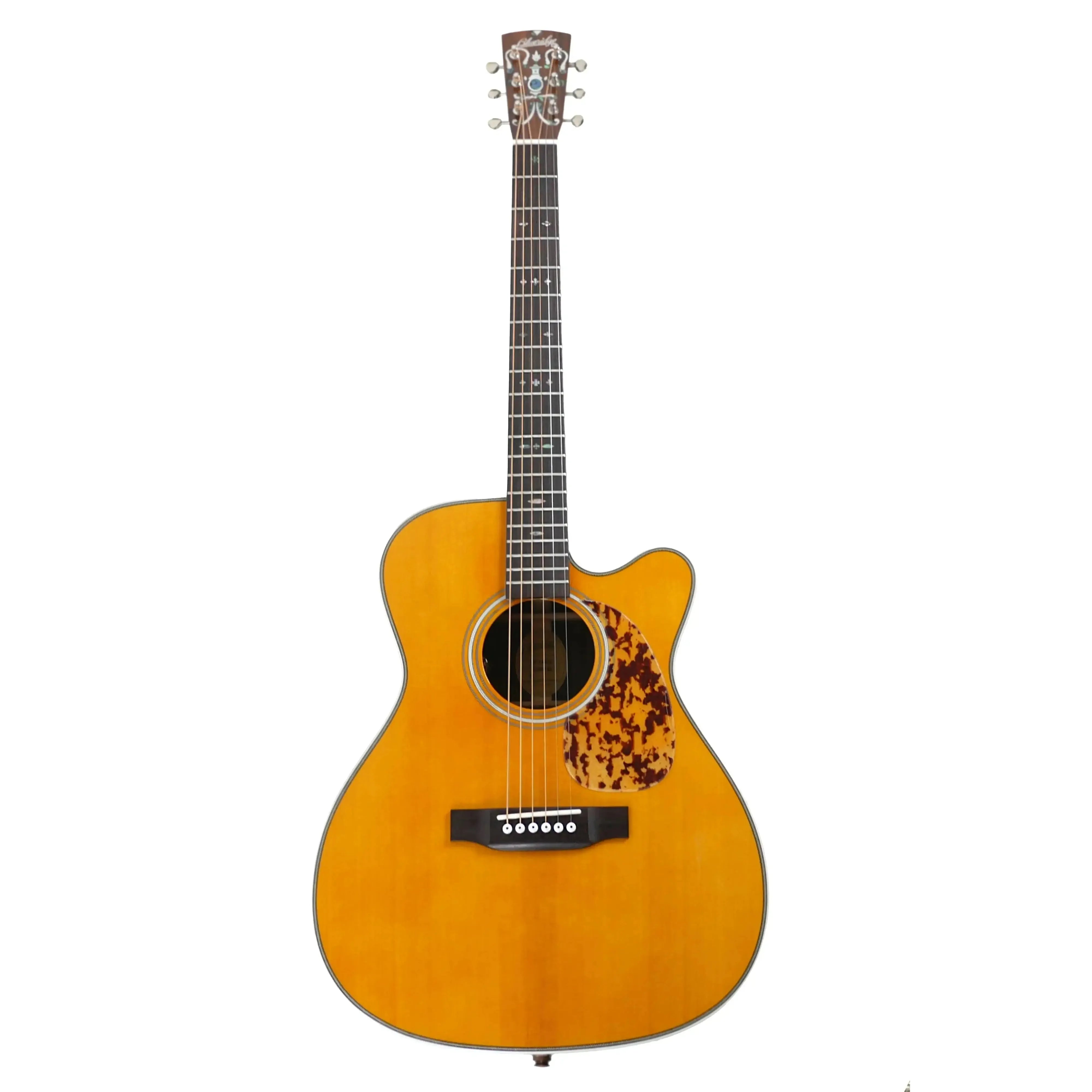 BR_163CE_5 | Terry Carter Music Store