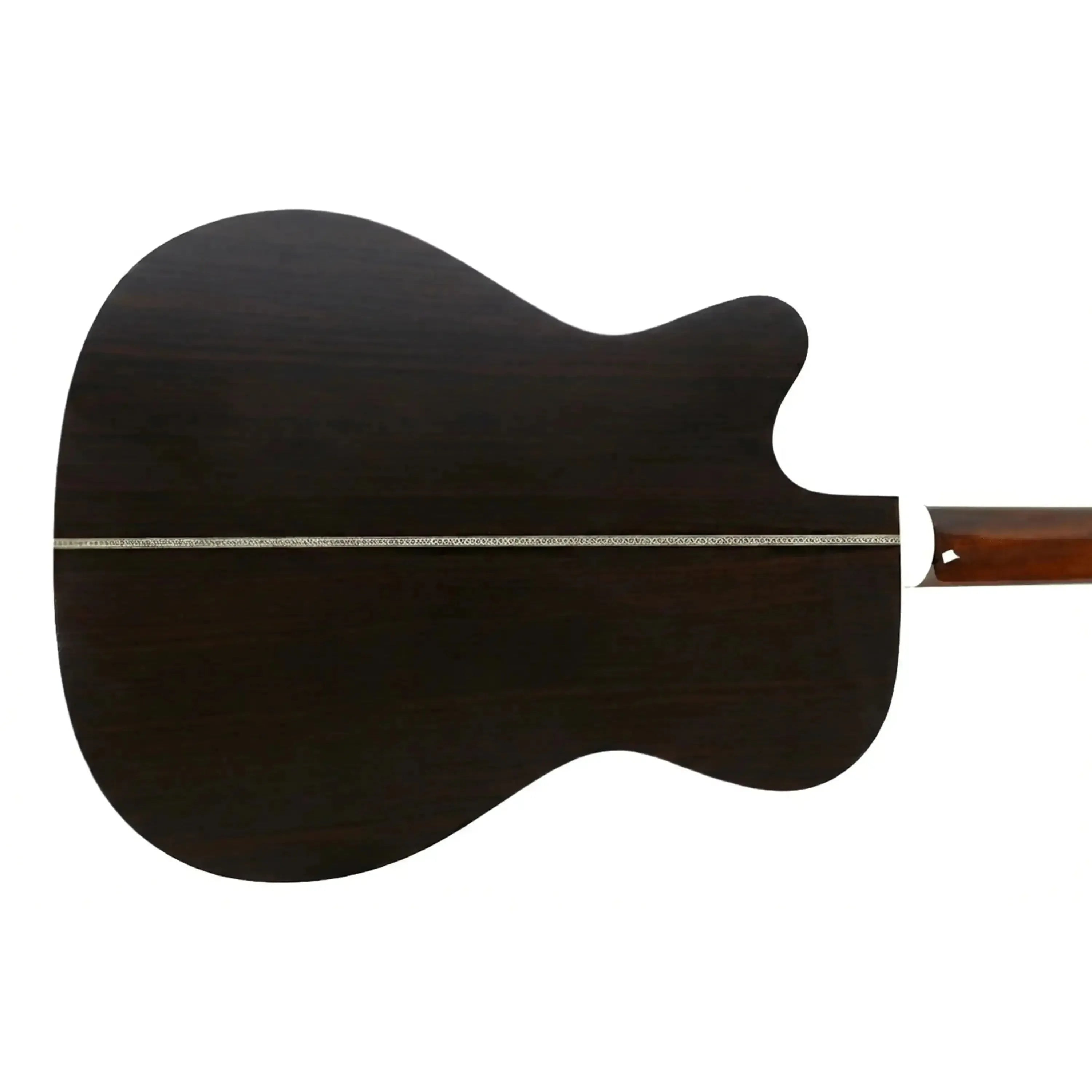 Blueridge-BR-163CEback | Terry Carter Music Store