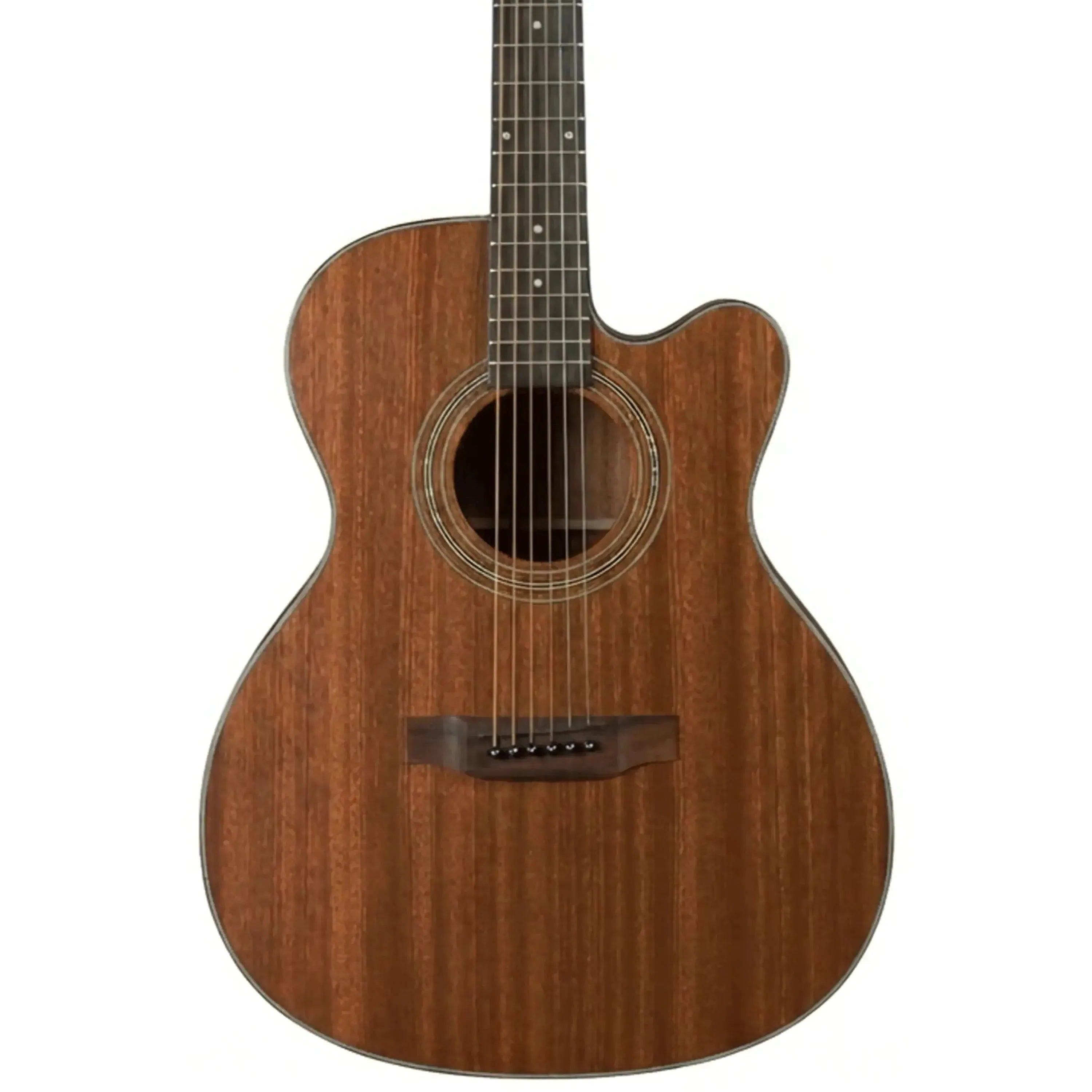 Bristol-BM-15CE2 | Terry Carter Music Store