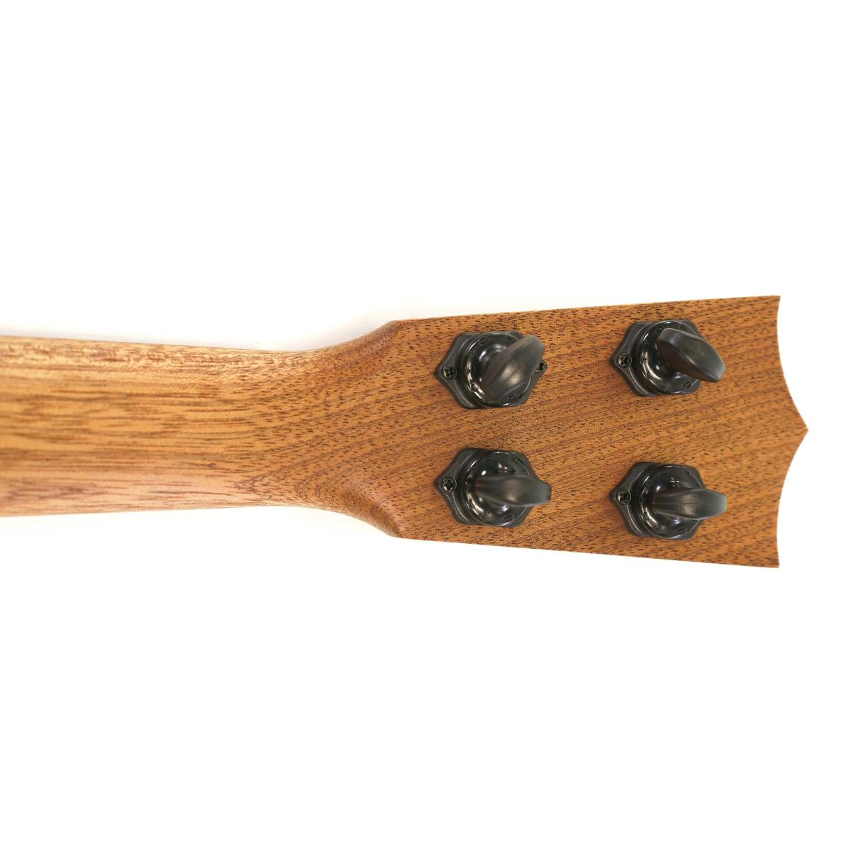 C1UKE_03_5 | Terry Carter Music Store