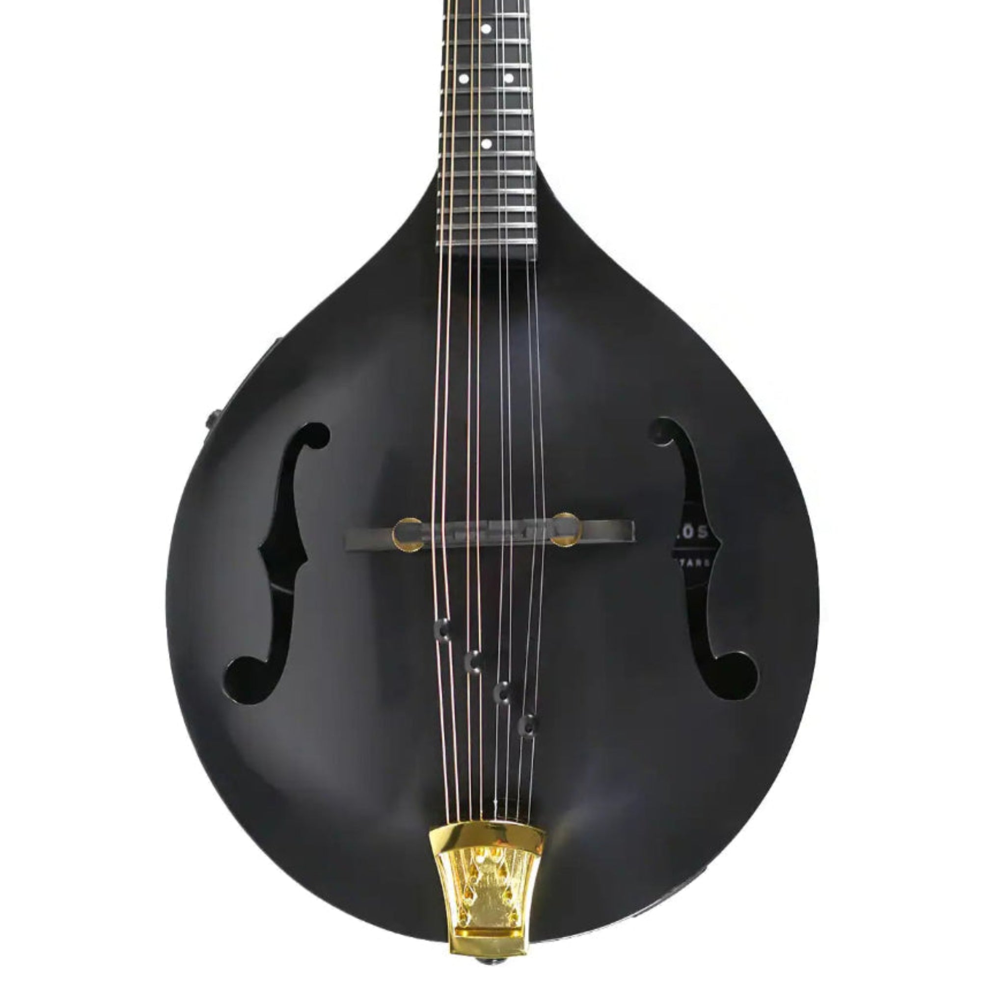 CARON_TIMBER_MANDOLIN_EQ_2 | Terry Carter Music Store
