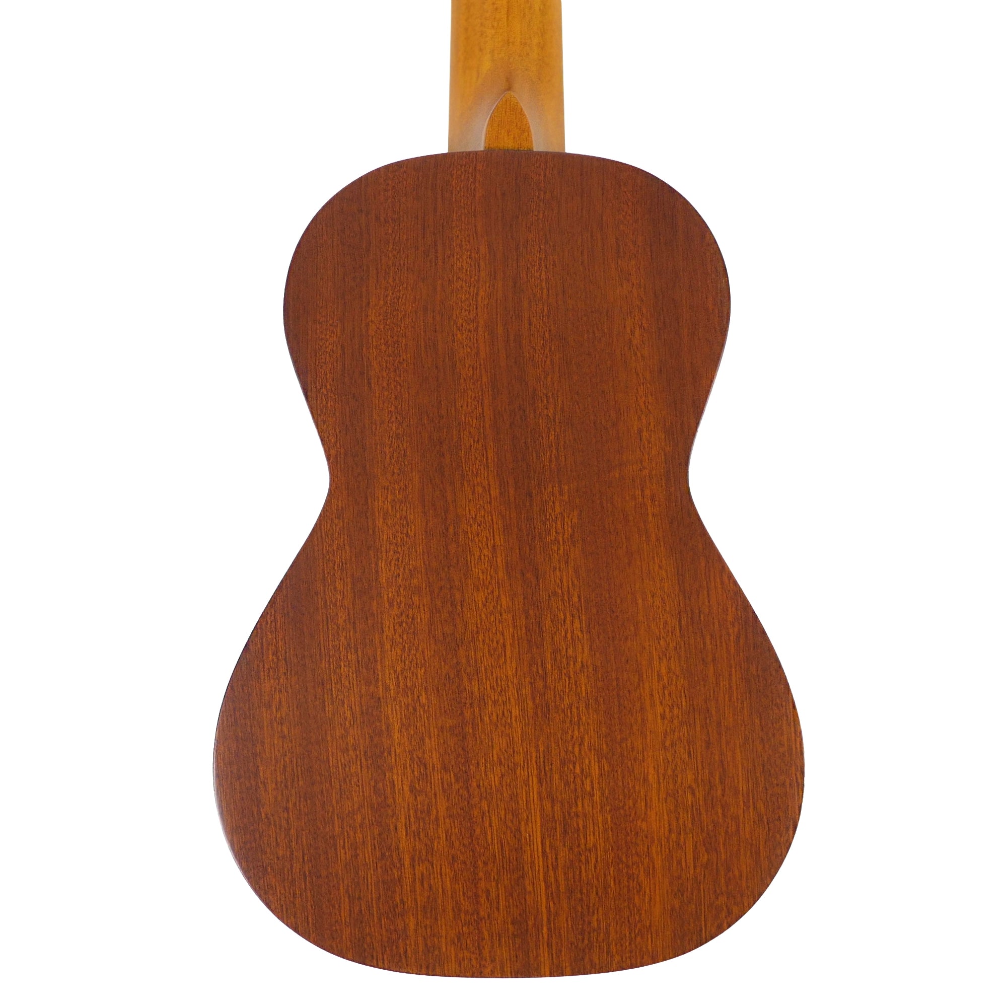 Rear view showcasing the CK-25’s solid mahogany back and natural satin finish.
