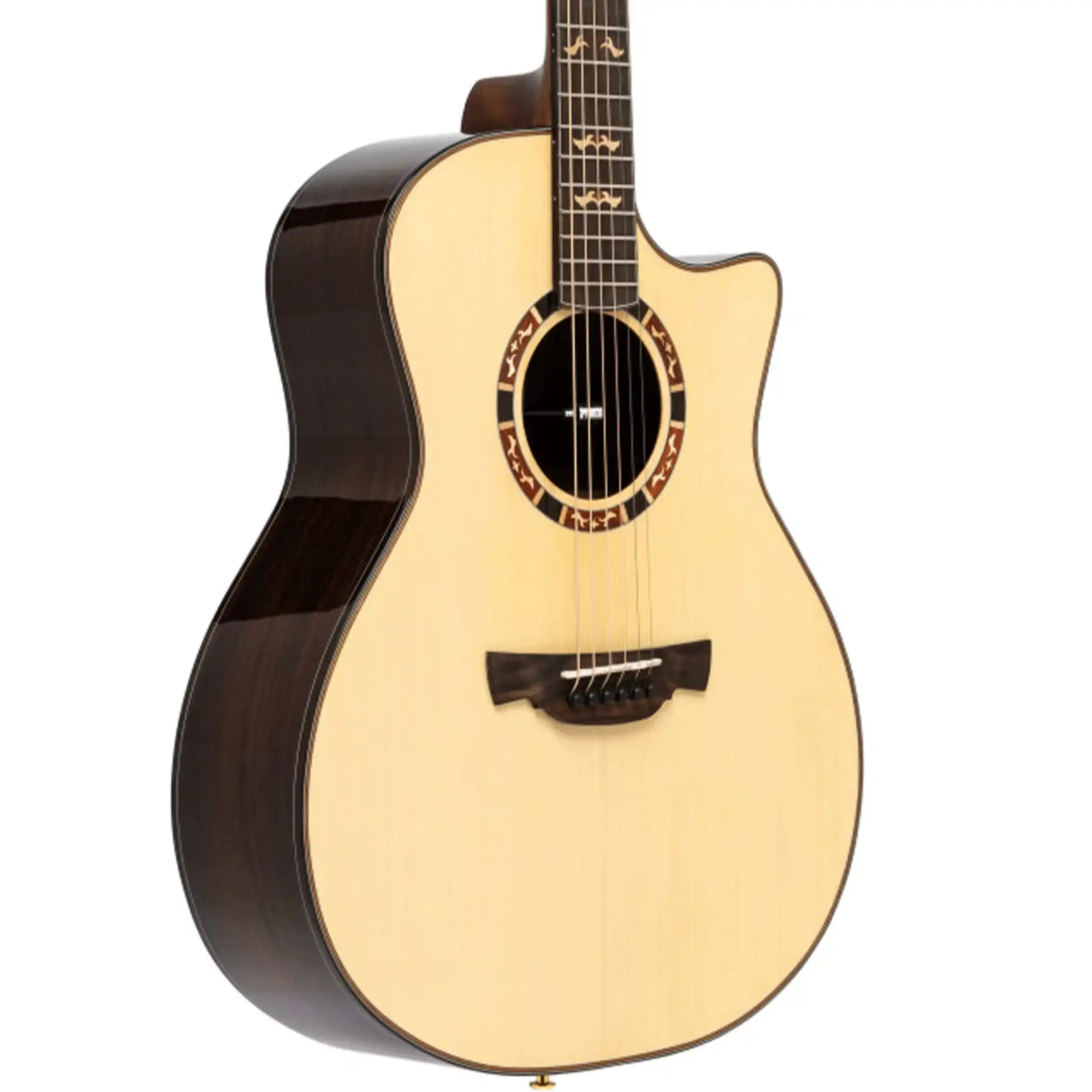 Crafter-STG-G20CE-PRO-Acoustic-Electric-Guitar1 | Terry Carter Music Store