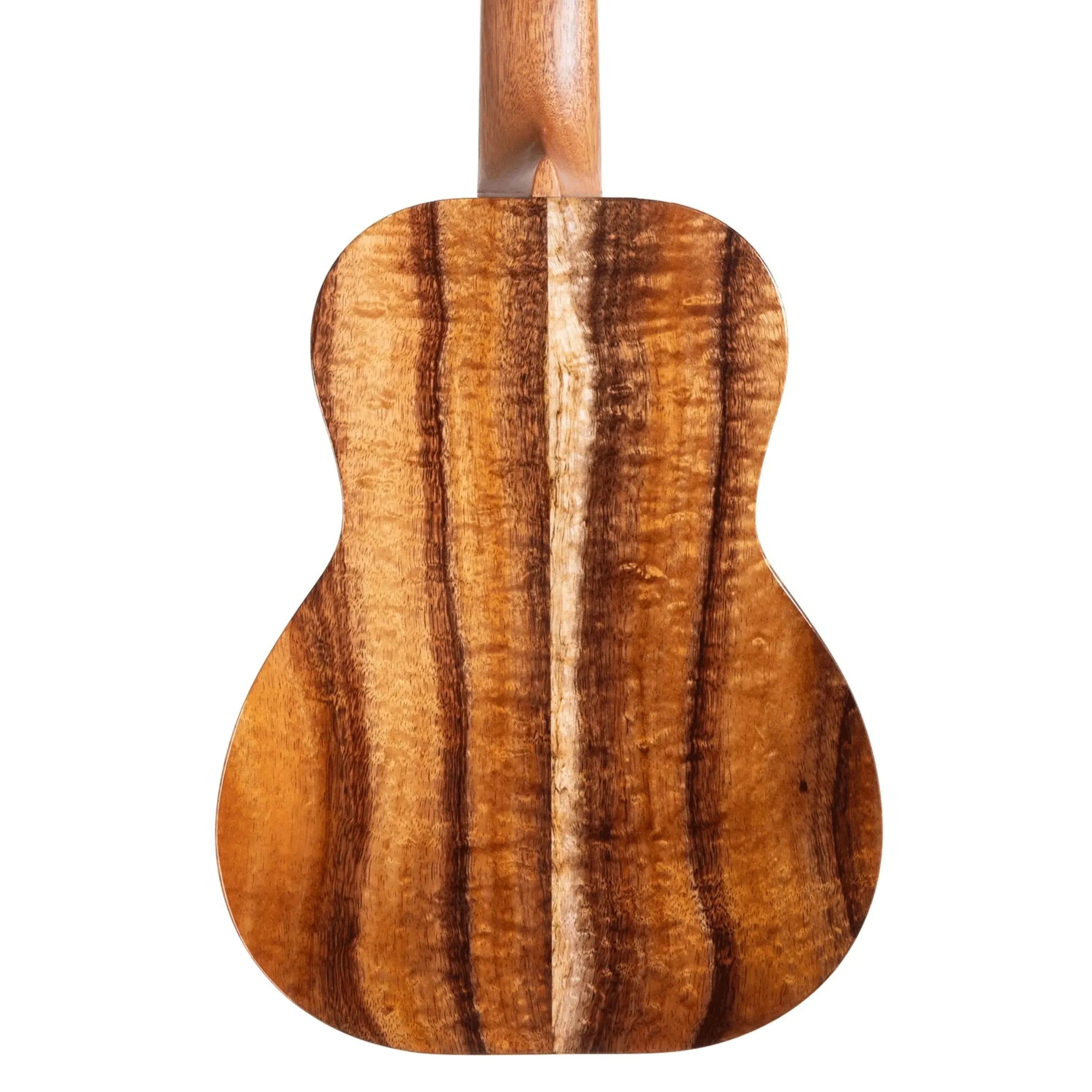 D-1-T6-298134 | Terry Carter Music Store
