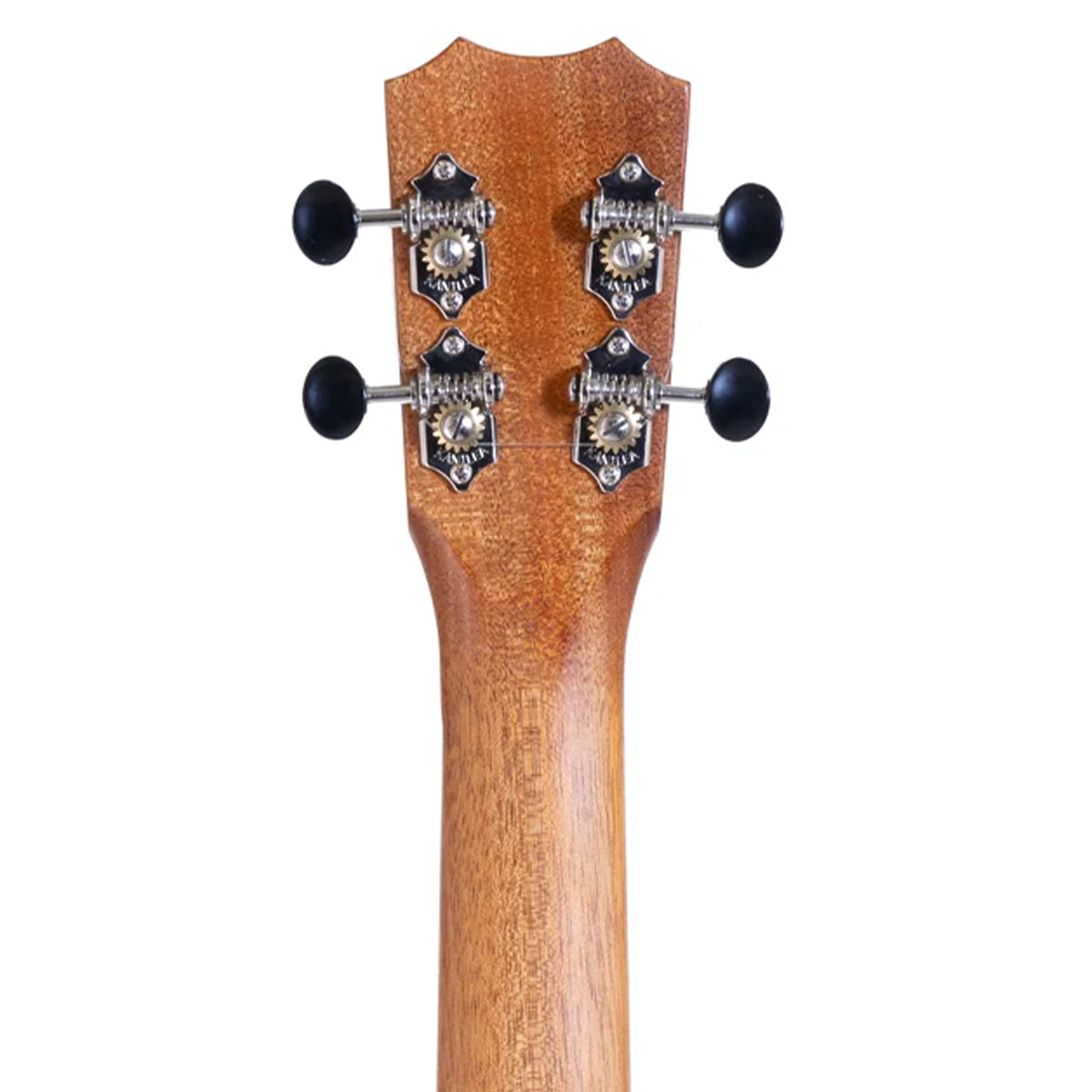 back of headstock