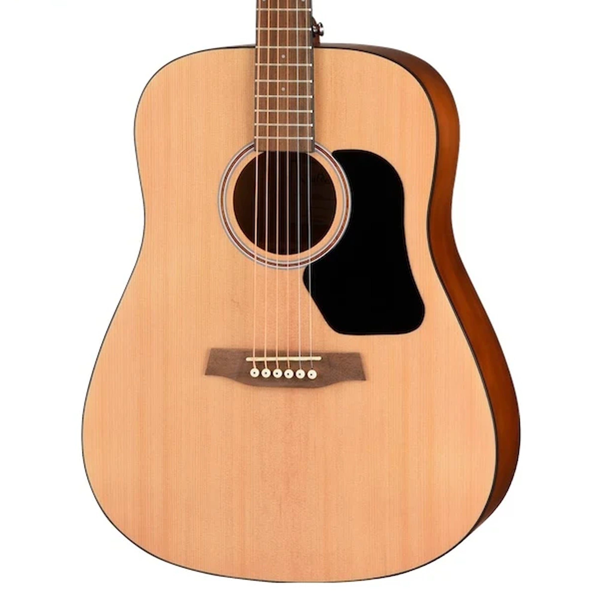 Walden D255 Hawthorne Dreadnought
