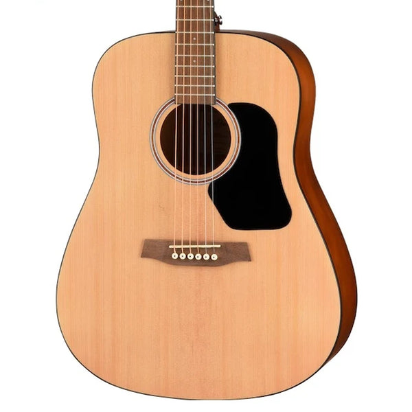 Walden D255 Hawthorne Dreadnought