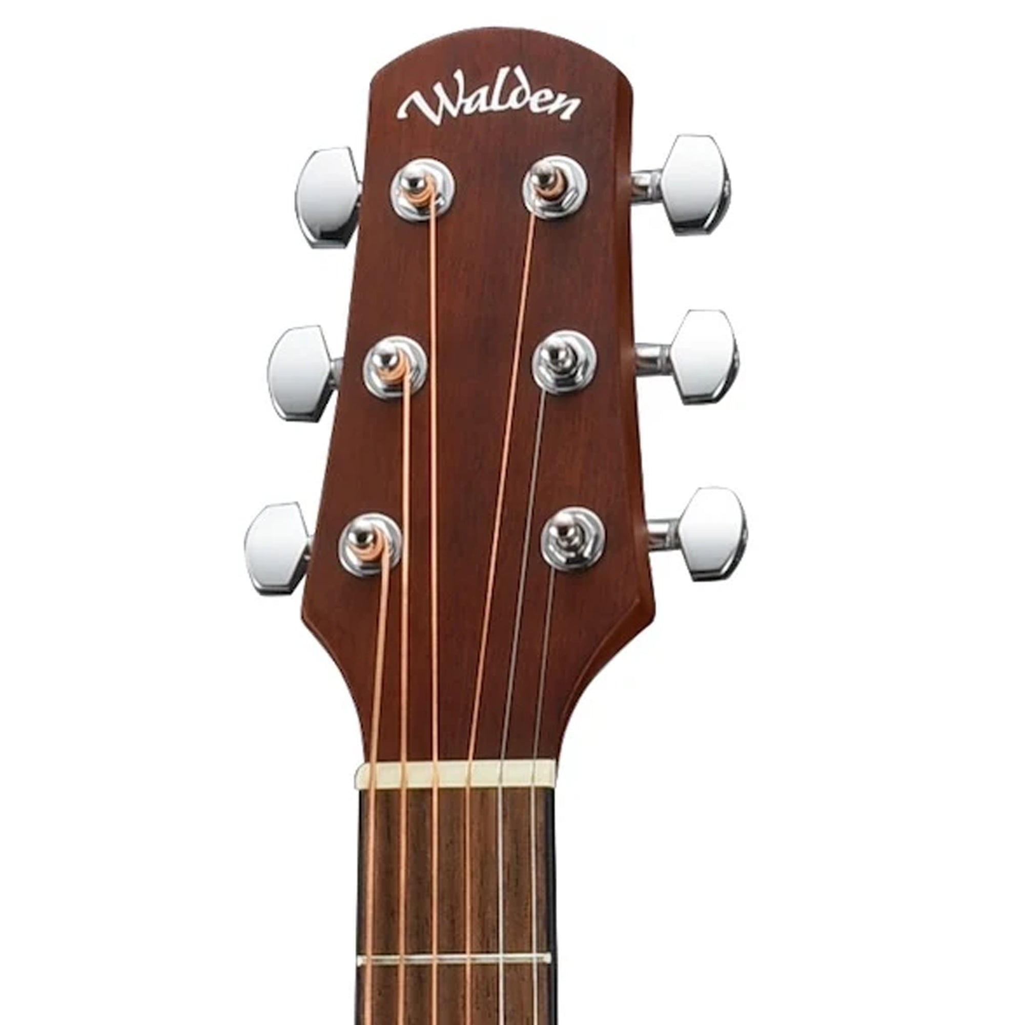 Walden D255 Hawthorne Dreadnought
