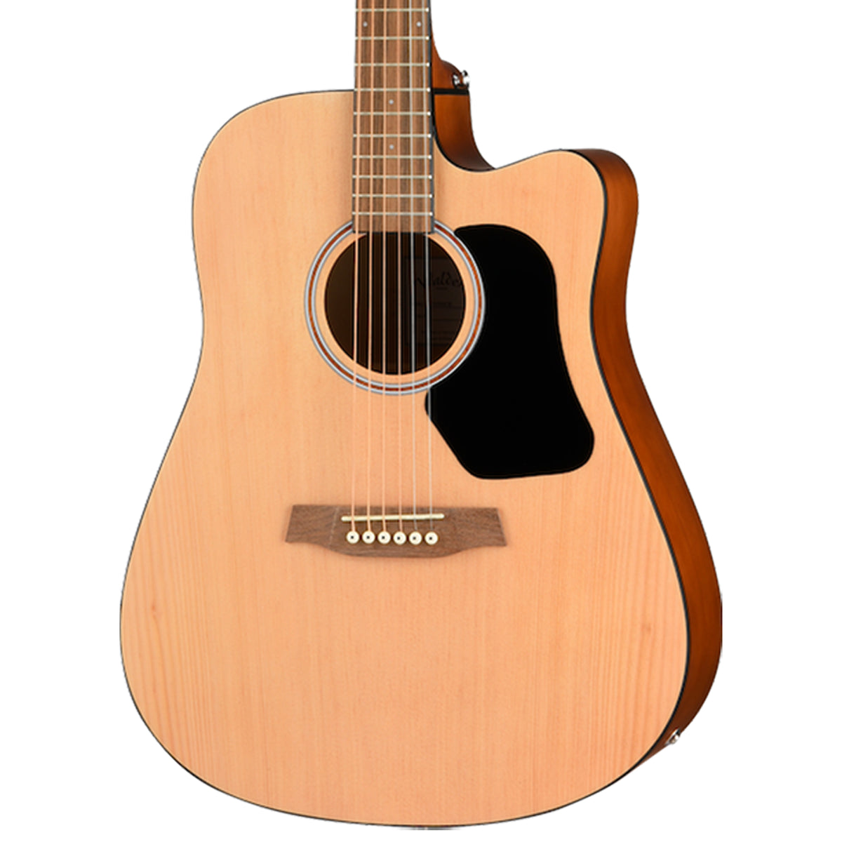Walden Guitars D255CE