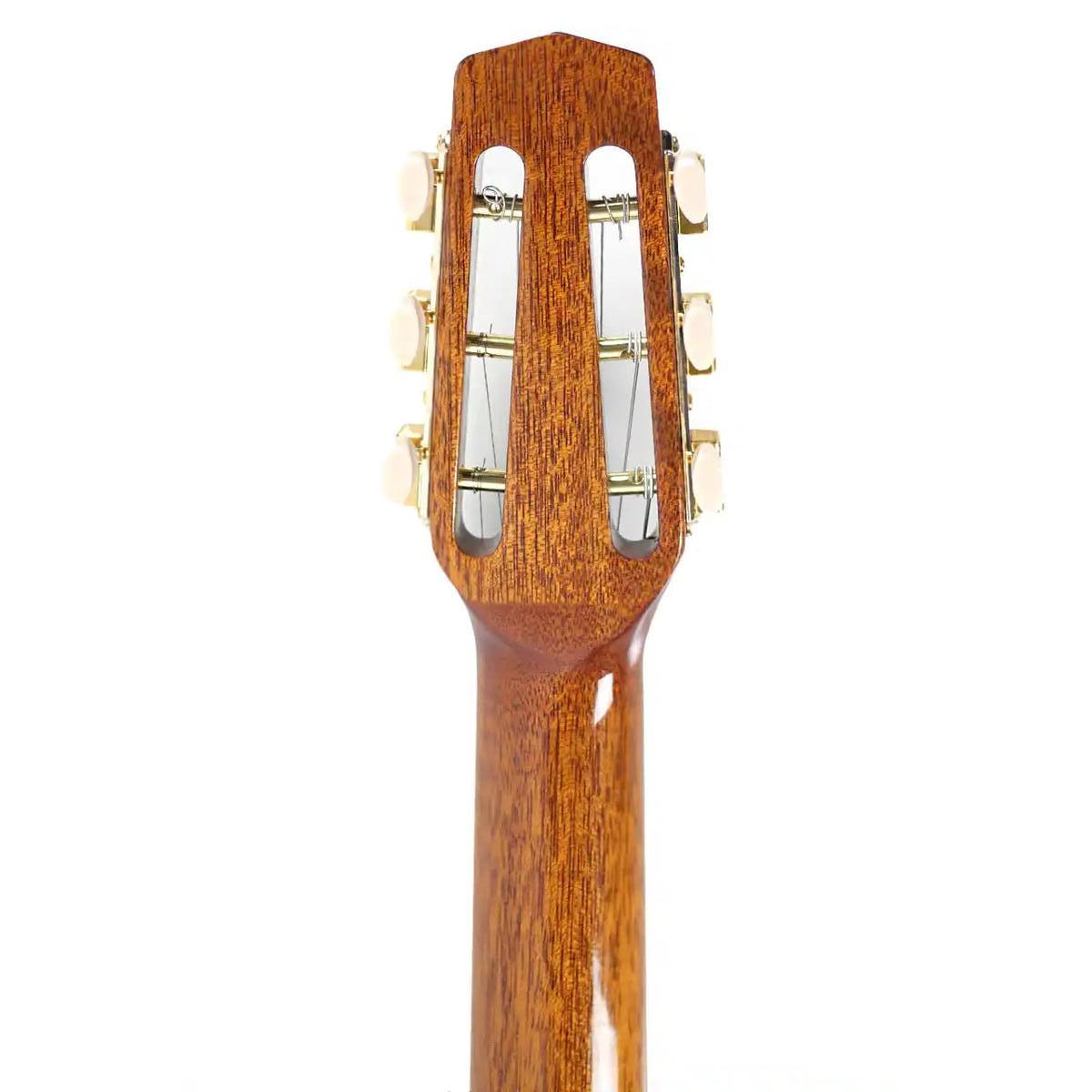 Gitane DG-255 Professional Gypsy Jazz Guitar - Terry Carter Music