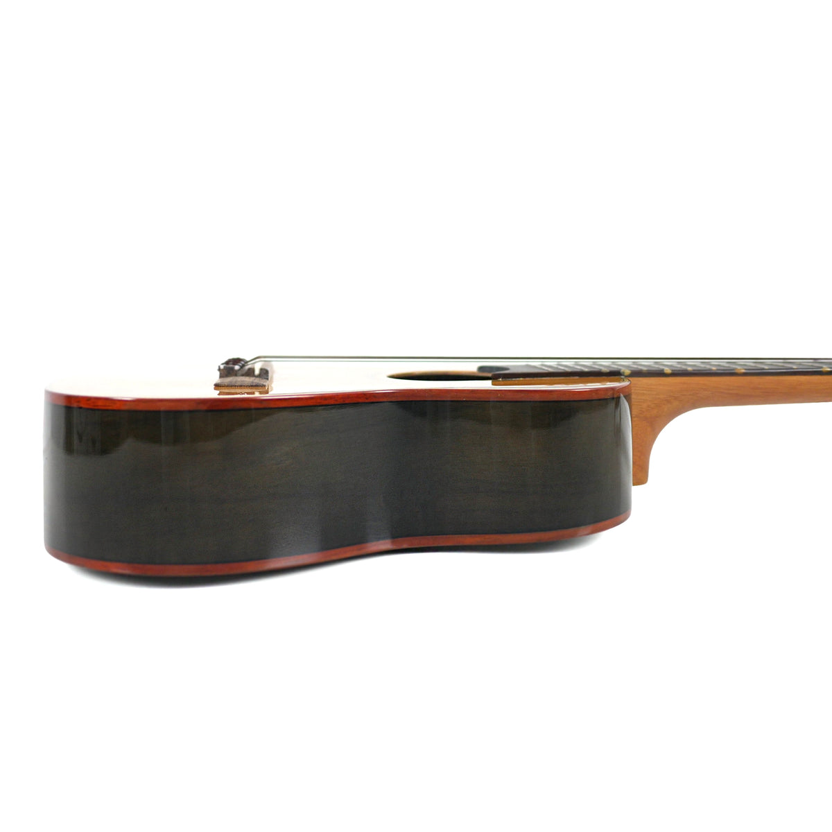 Flight Diana Soundwave Concert side profile highlights the dark walnut sides, contrasting binding, and concert body depth.