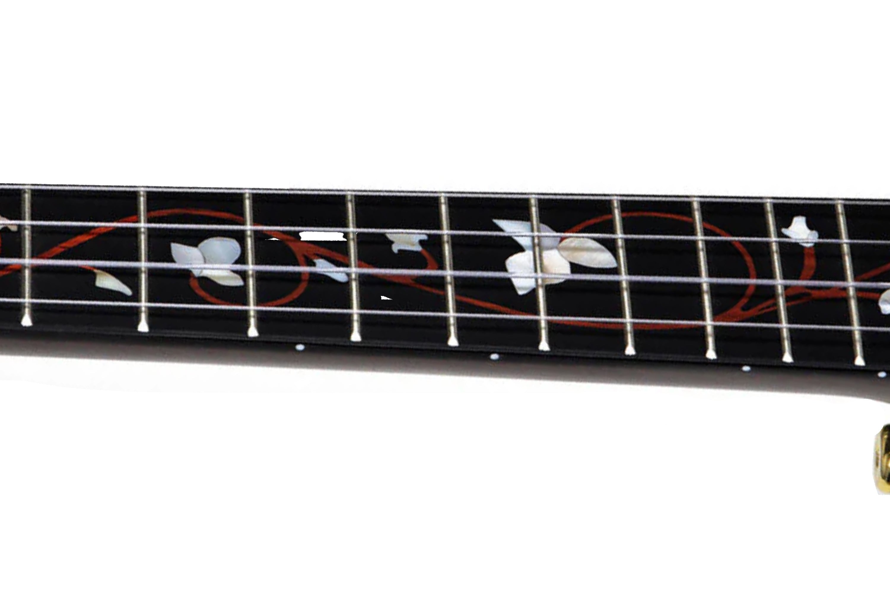 fretboard