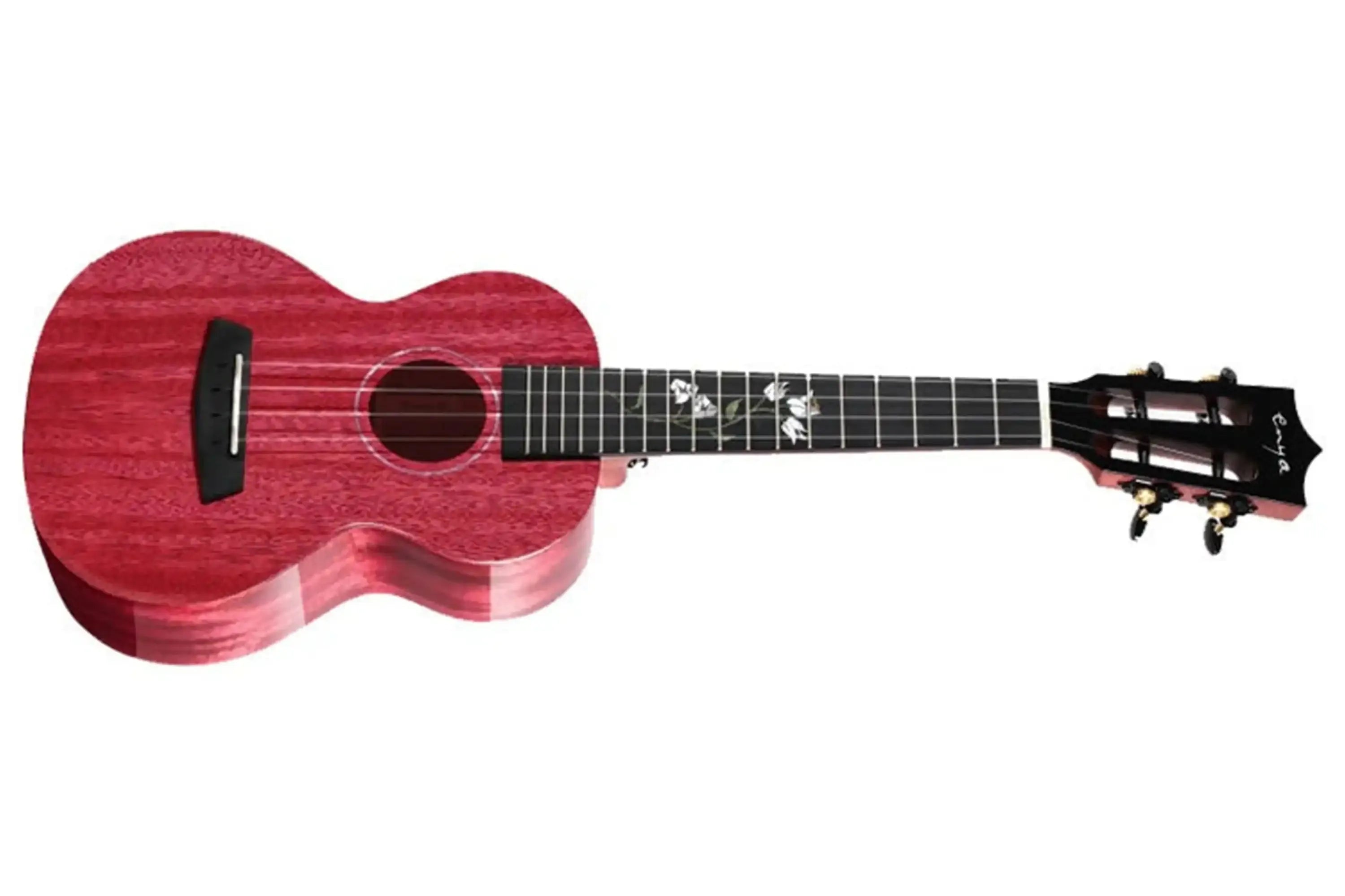 Enya-EUC-MAD-XB-EQ-Concert-Ukulele1 | Terry Carter Music Store