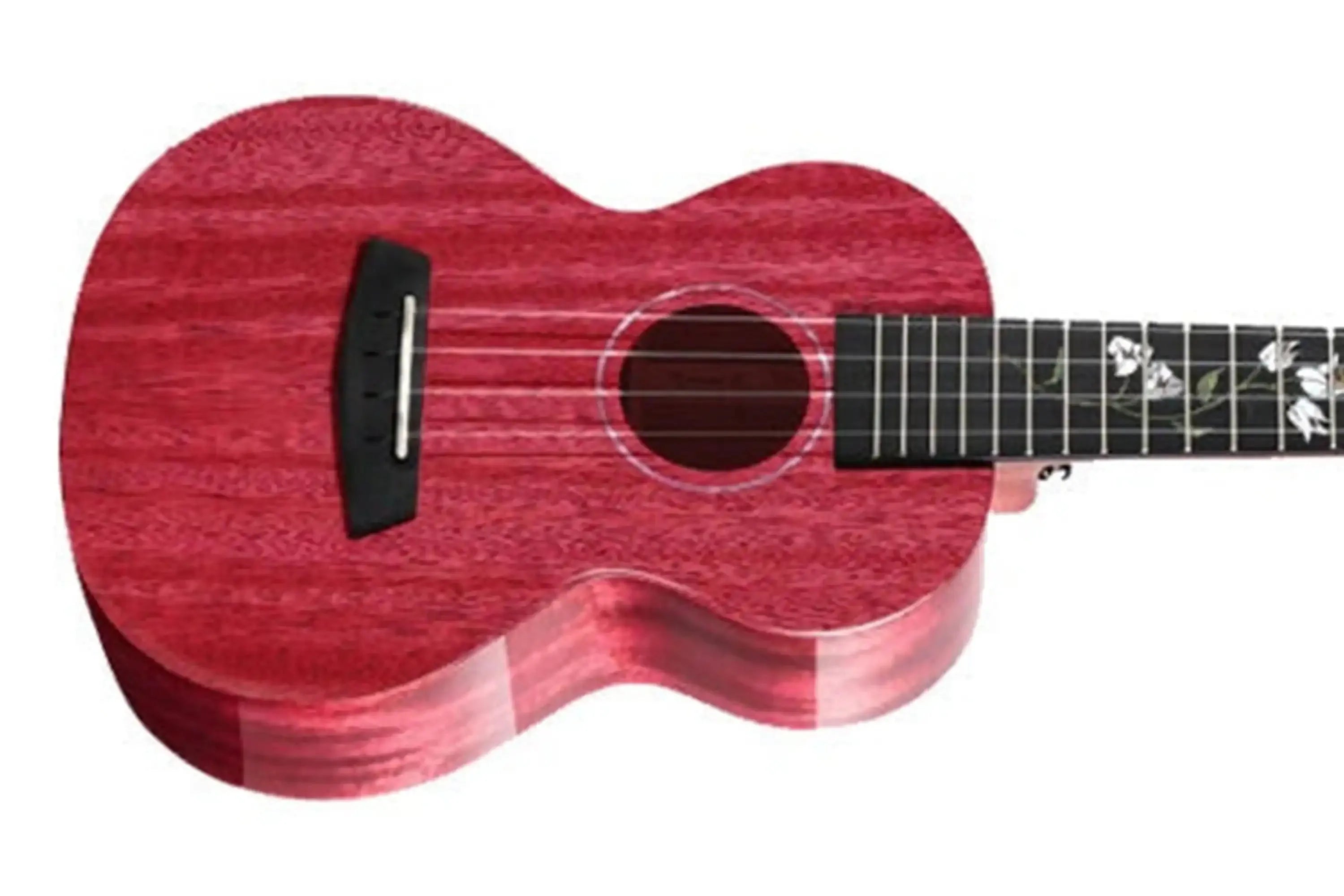 Enya-EUC-MAD-XB-EQ-Concert-Ukulele2 | Terry Carter Music Store
