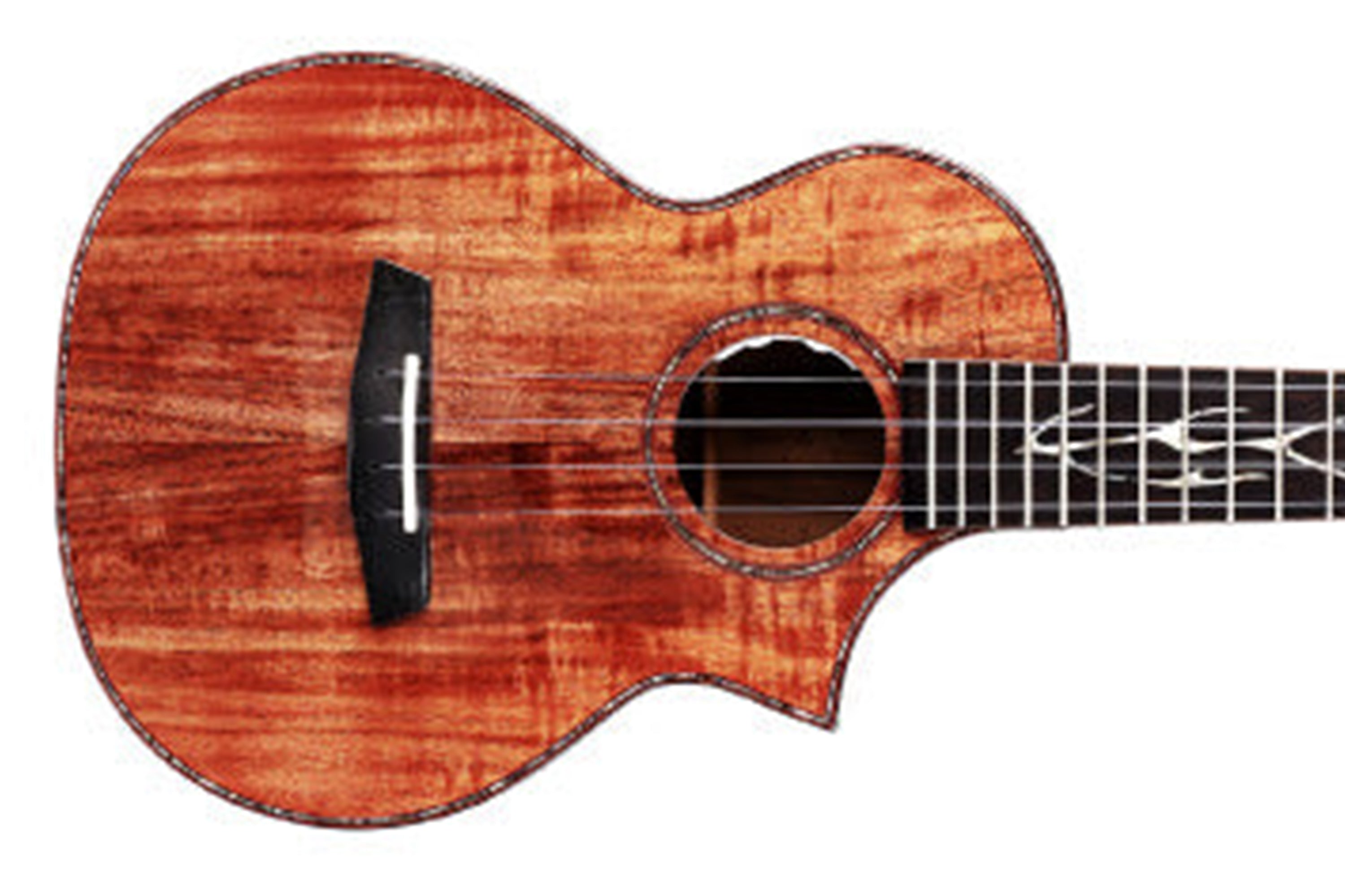 Enya EUTK6/EQ Tenor Ukulele Terry Carter Music Store